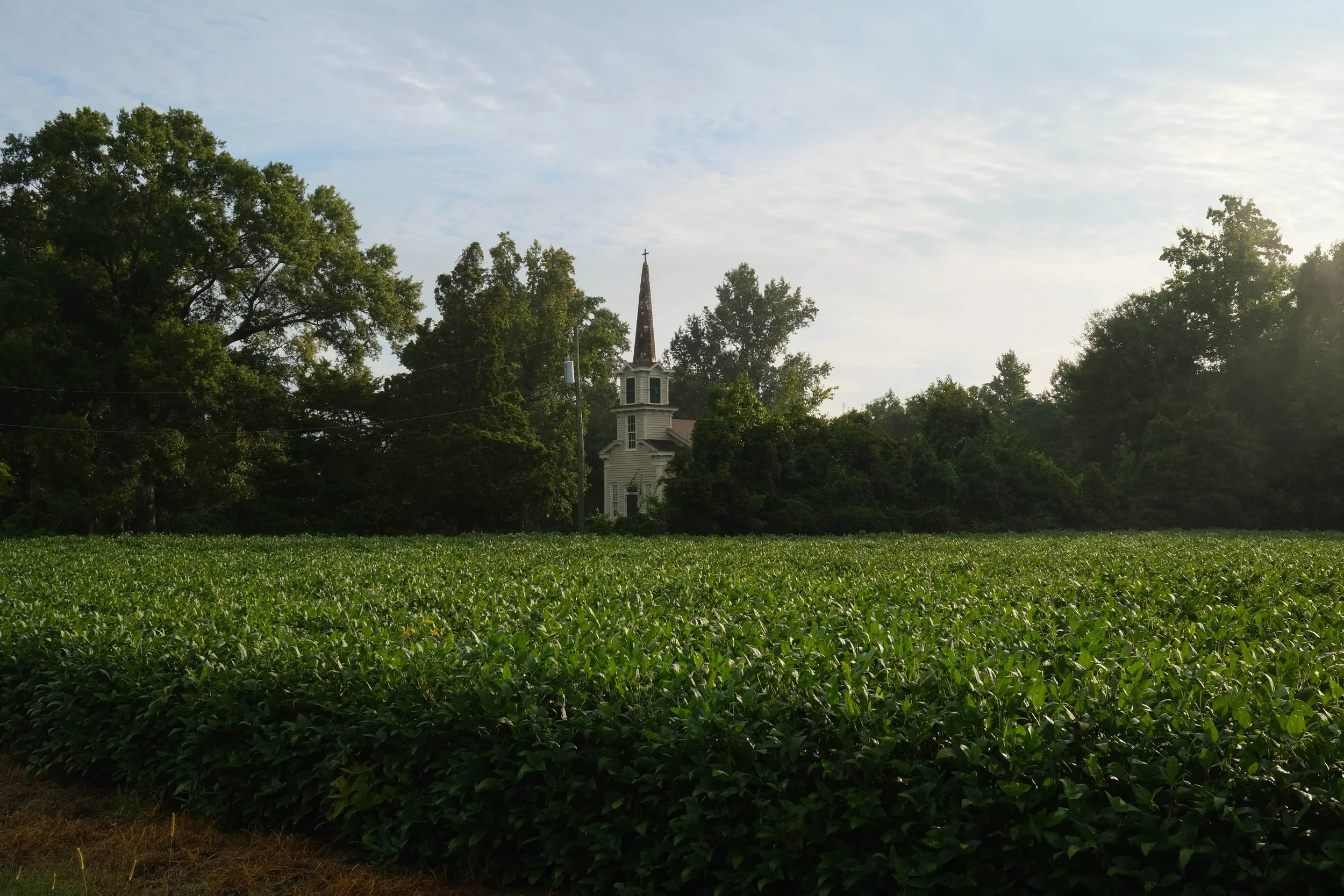 DSCF7688.jpg