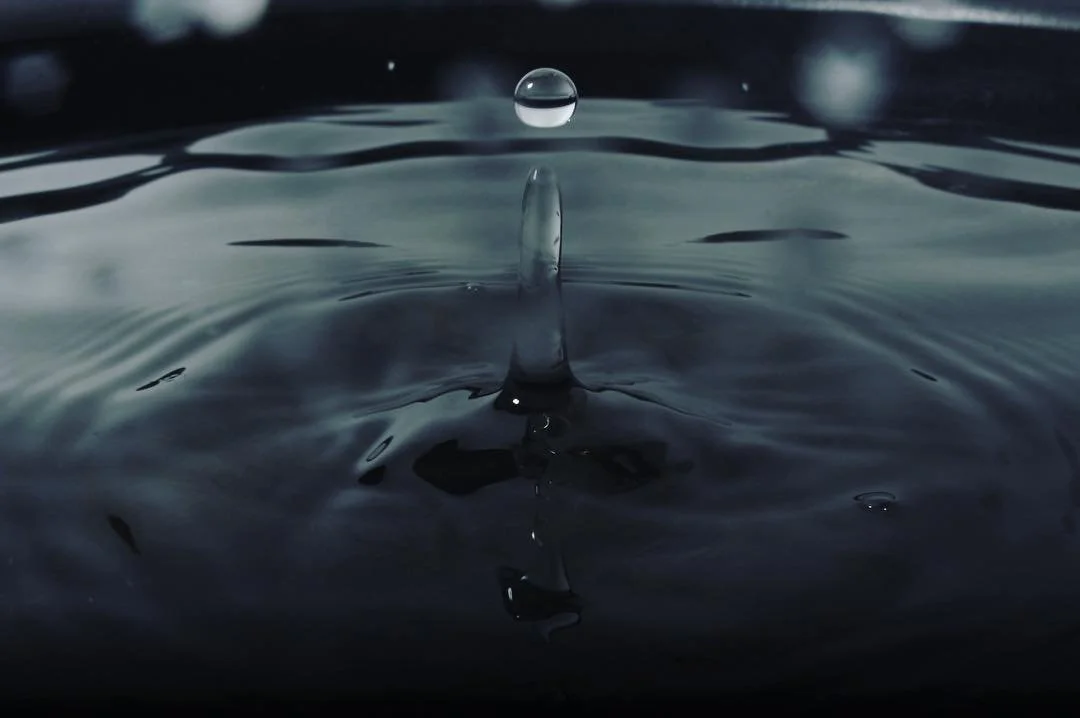 2016-03-10 02.01.12 1202701998776124517_1967333328.jpg