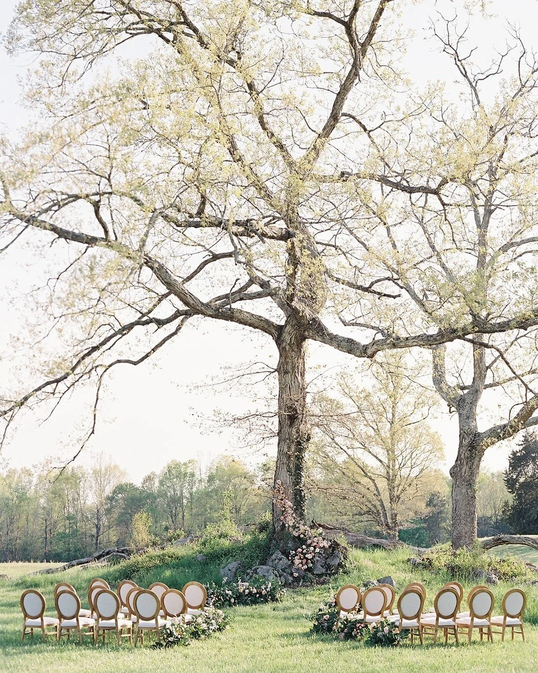Hello, spring. 🌿

There&rsquo;s something magical about the first day of the season&mdash;the light feels softer, the trees begin to wake up, and everything starts to feel full of possibility again.

This beautiful moment from a styled shoot at Grea