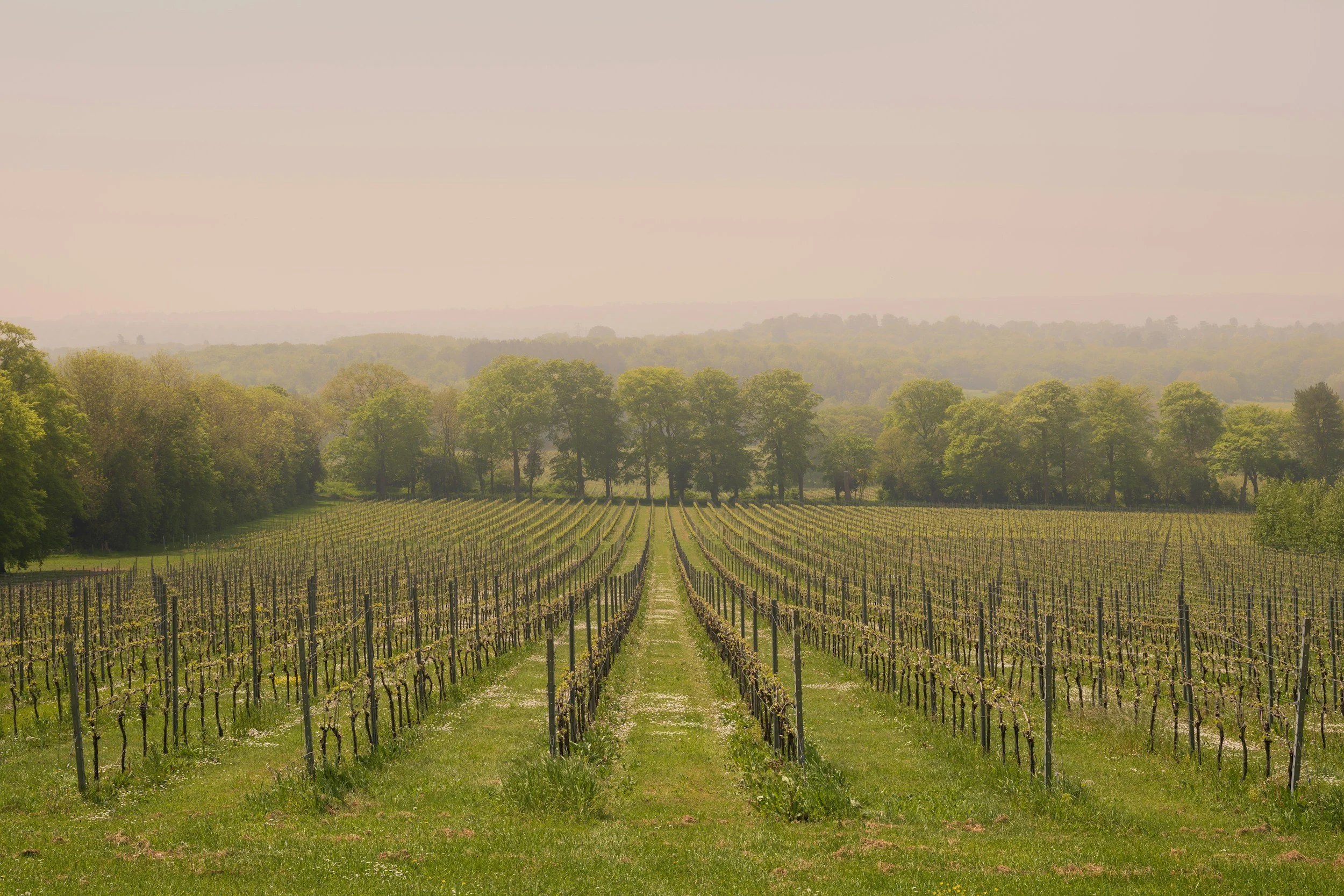 Your Perfect Spring Getaway: Wine Country, Shaw Festival &amp; Where to Stay in St. Catharines