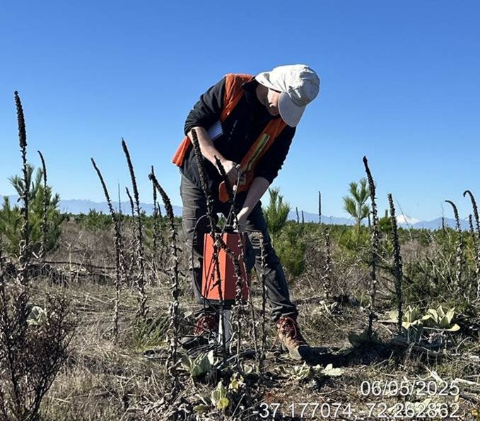 Measuring soil moisture using a neutron meter probe in a Pinus radiata plantation in the “soil preparation x fertilization x weed control” trial on sandy soil (La Reforma site).