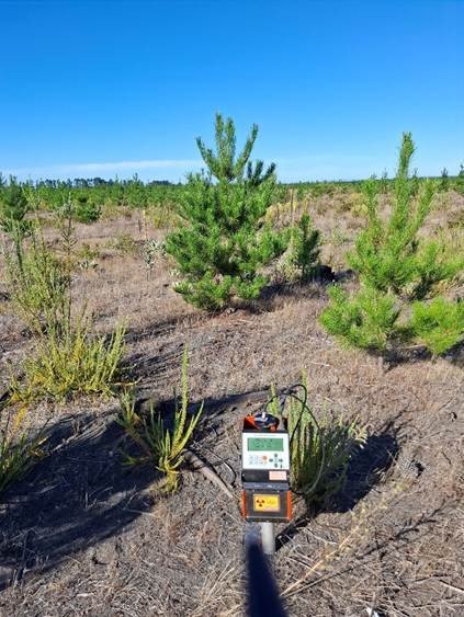 Measurement of soil moisture using a neutron meter probe in a Pinus radiata plantation in the RW7 on sandy soil (La Reforma site).