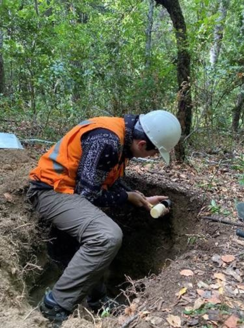 Soil description and bulk density sampling in native forest.