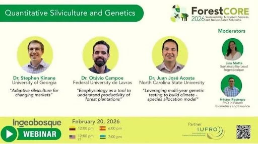 Flyer for Dr. Campoe’s presentation for the IUFRO and ForestCORE webinar on February 20.