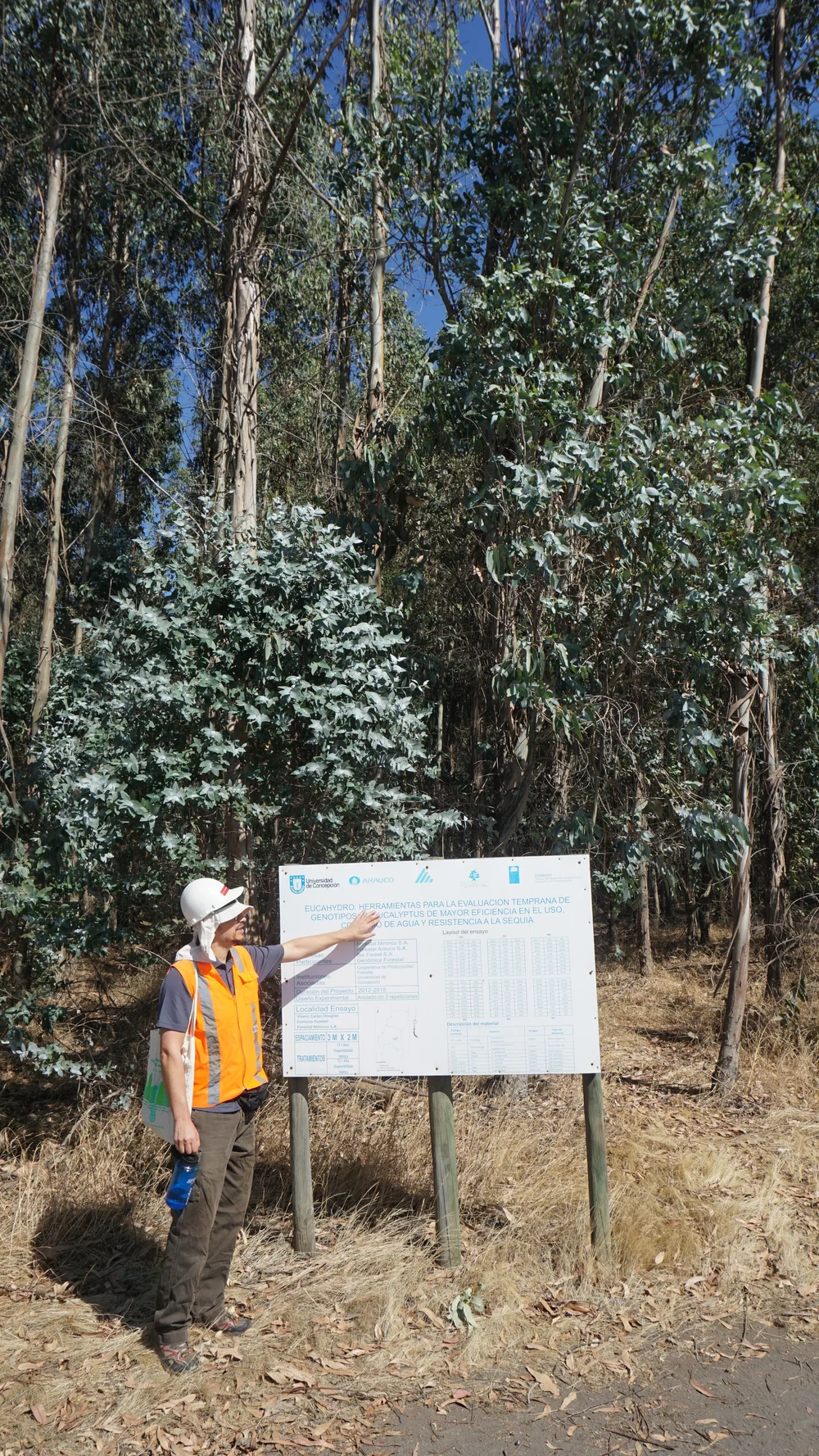 Research Forest Productivity Cooperative