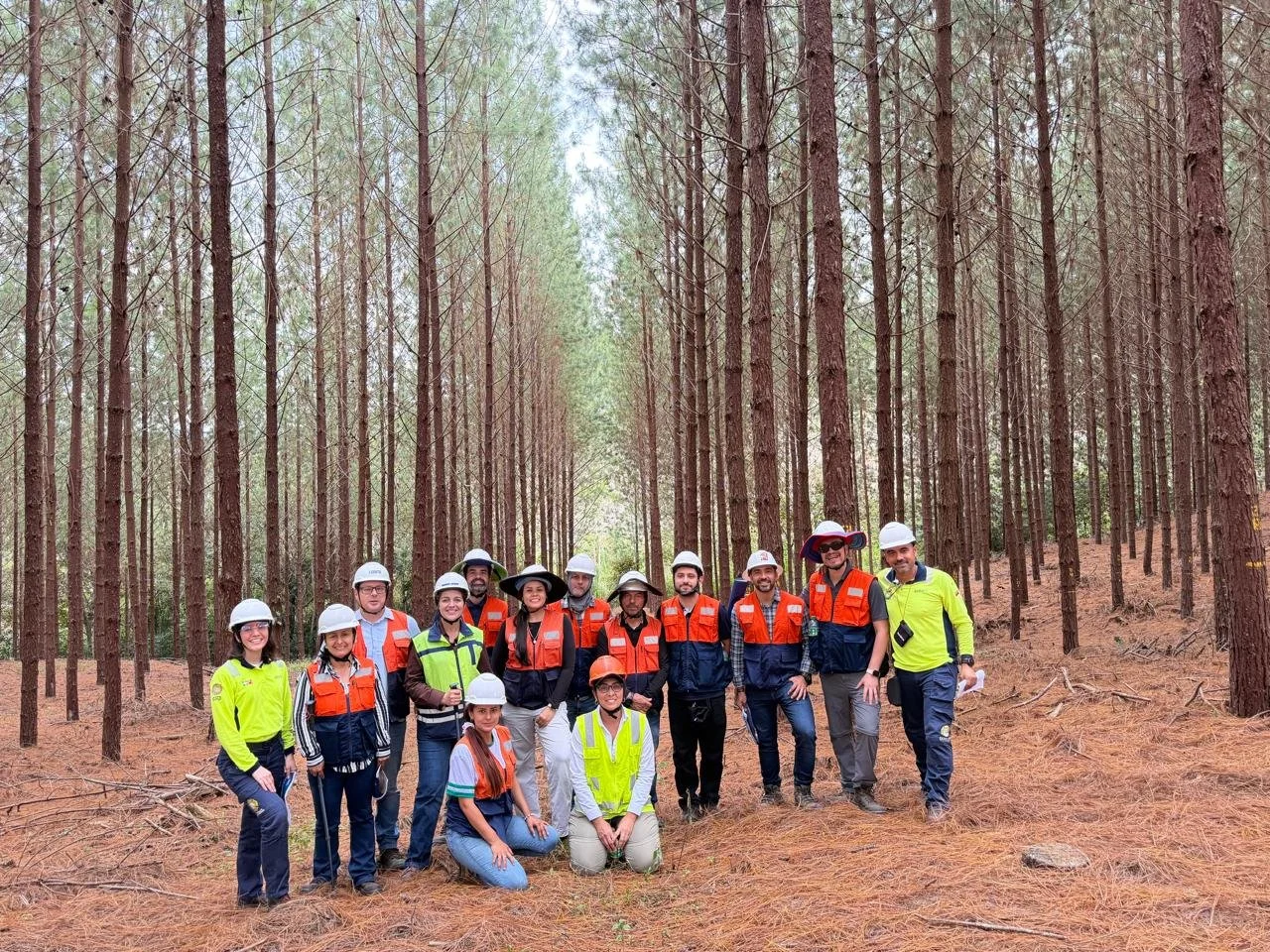 Dr. Rafael Rubilar and Dr. Otávio Campoe visiting a Pinus trial in Colombia with the Smurfit Westrock research team.