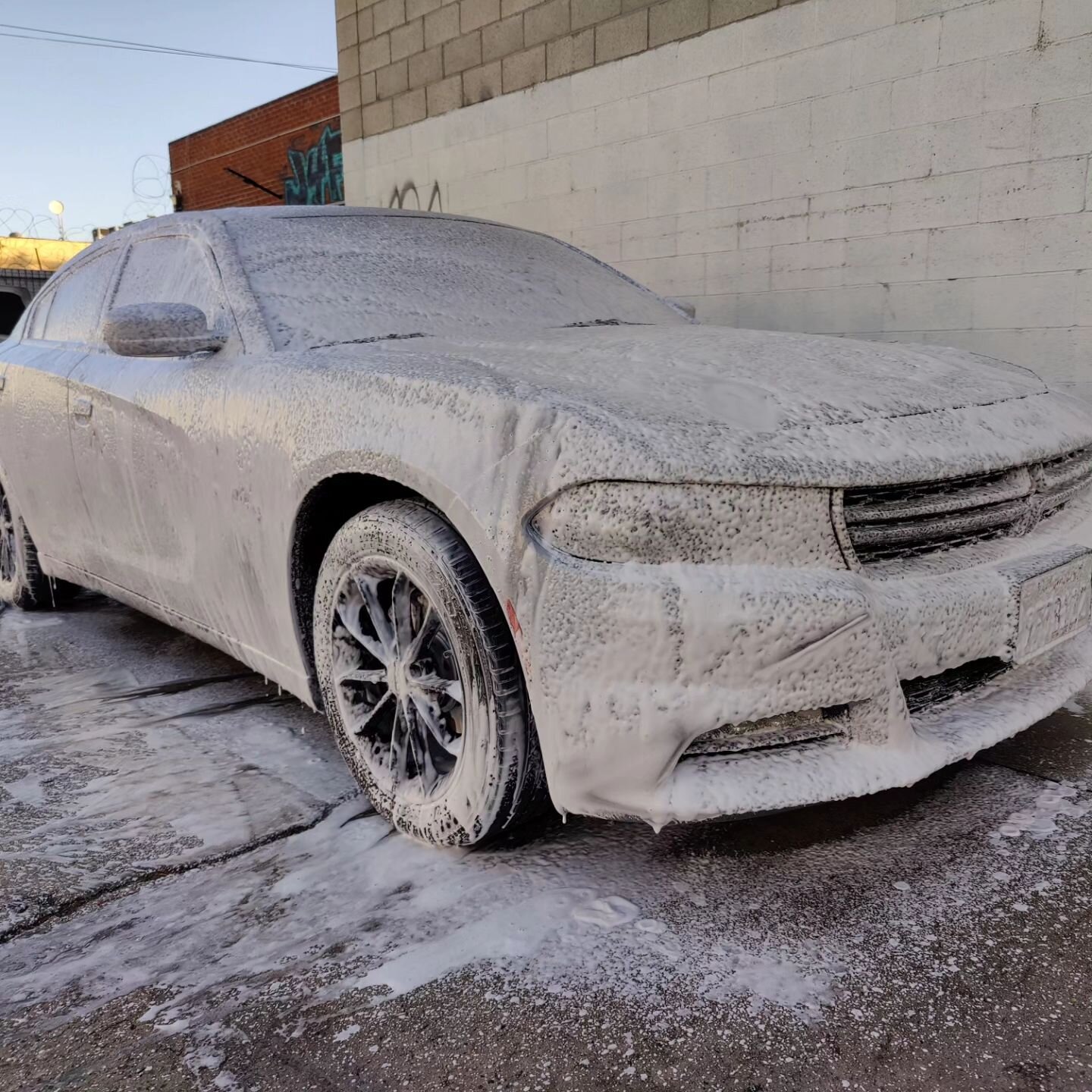 Basic Wash Package + Pet Hair removal on a Dodge Charger. We all know sometimes pet hair can be a bit tricky to get off your seats &amp; carpets but don't worry I got you! Book your next car wash with Geo's Mobile Auto Detailing! 
.
.
.
.

.
.
.
.
#d