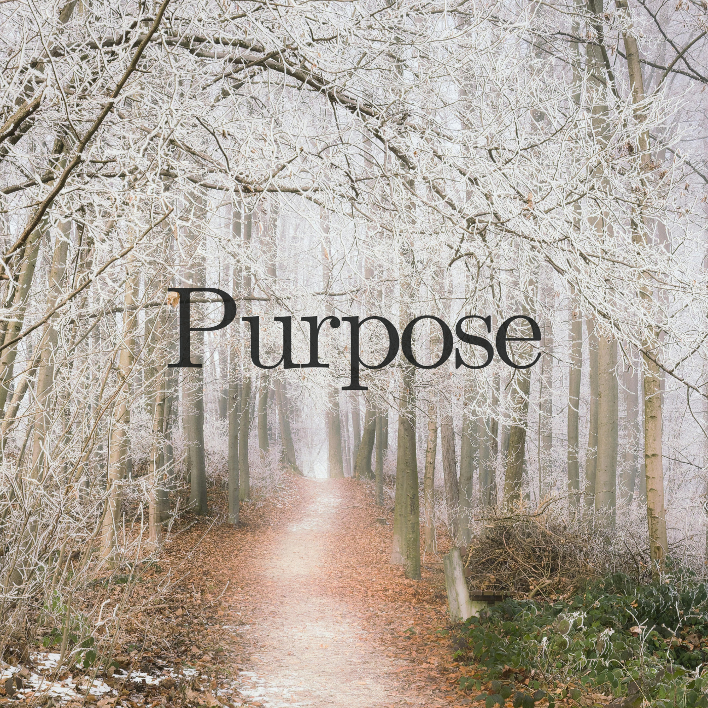 Purpose