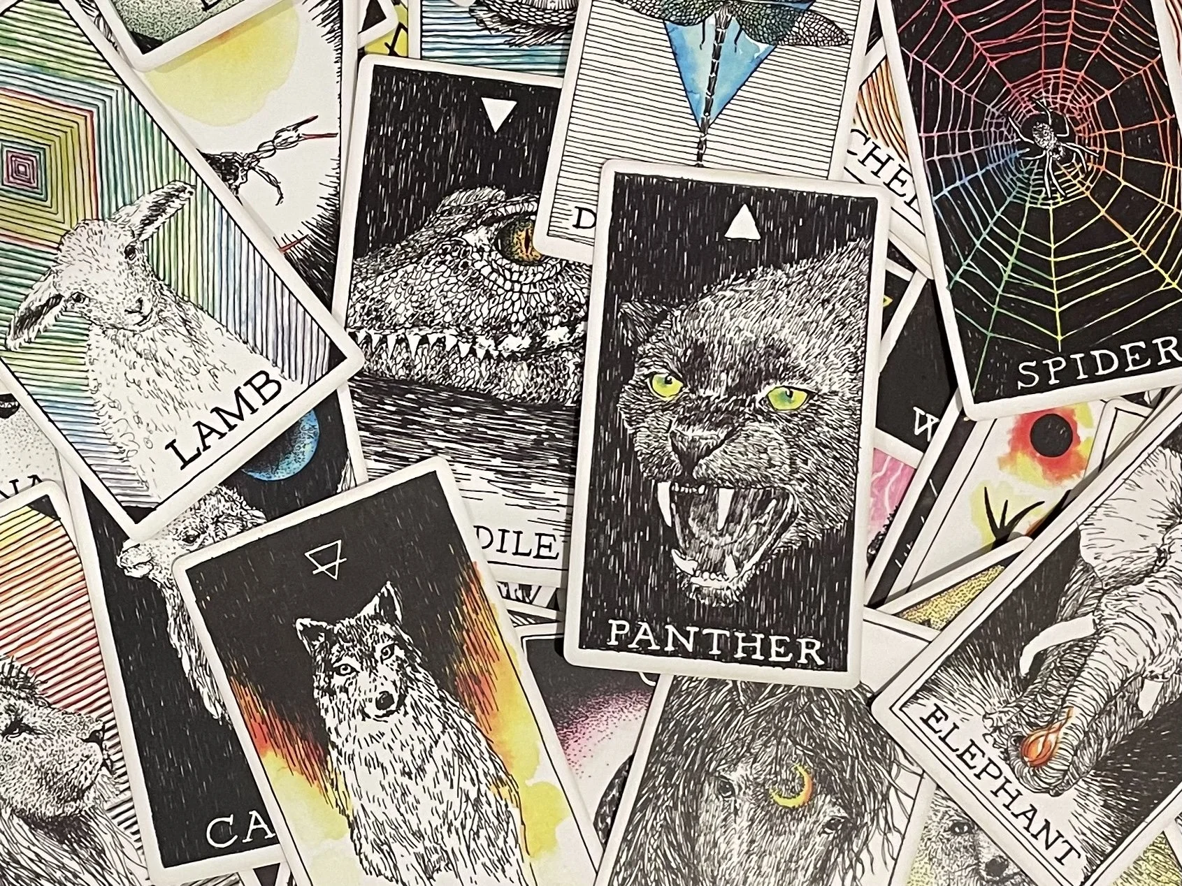 From Seeking to Knowing: How Oracle Cards Helped Me Trust My Inner Wisdom