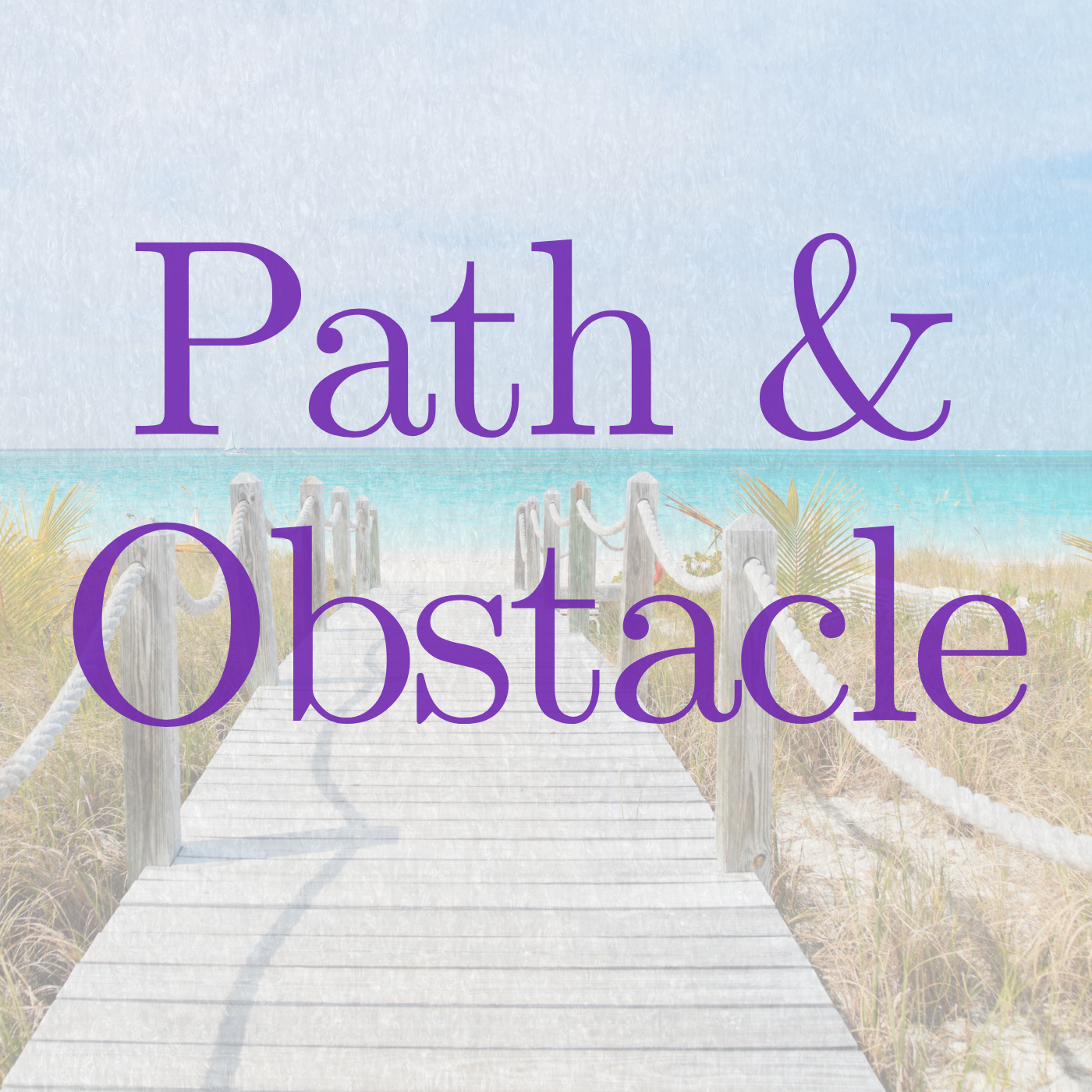 The Path & Obstacle