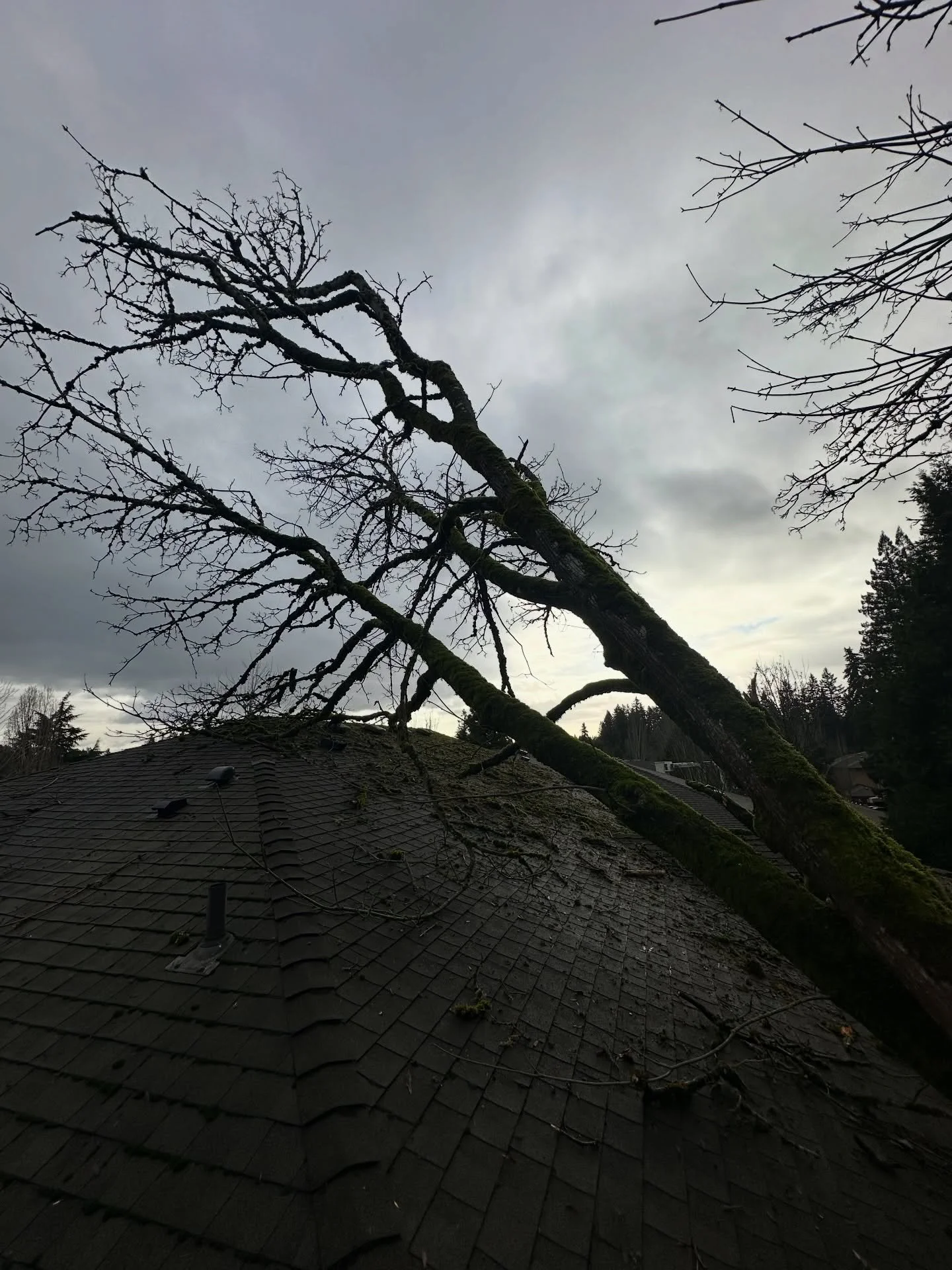 Storm response at a local apartment complex 🌲
A tree split and fell onto the building last night. Our crew responded quickly to remove the tree, clear the debris, and secure the roof with temporary protection to prevent further damage.
We will be ba