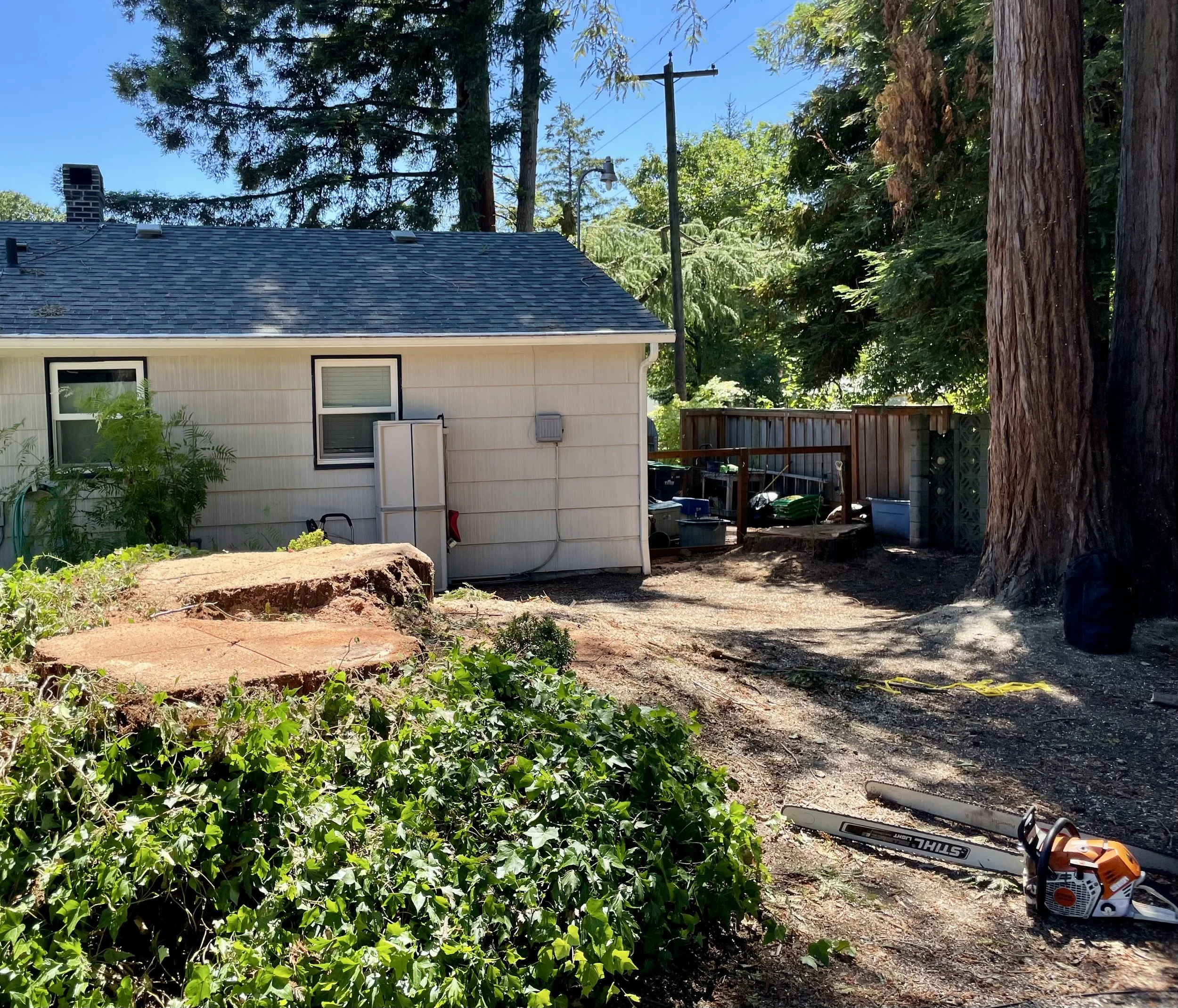 Kings Tree Service LLC - Licensed Tree Removal