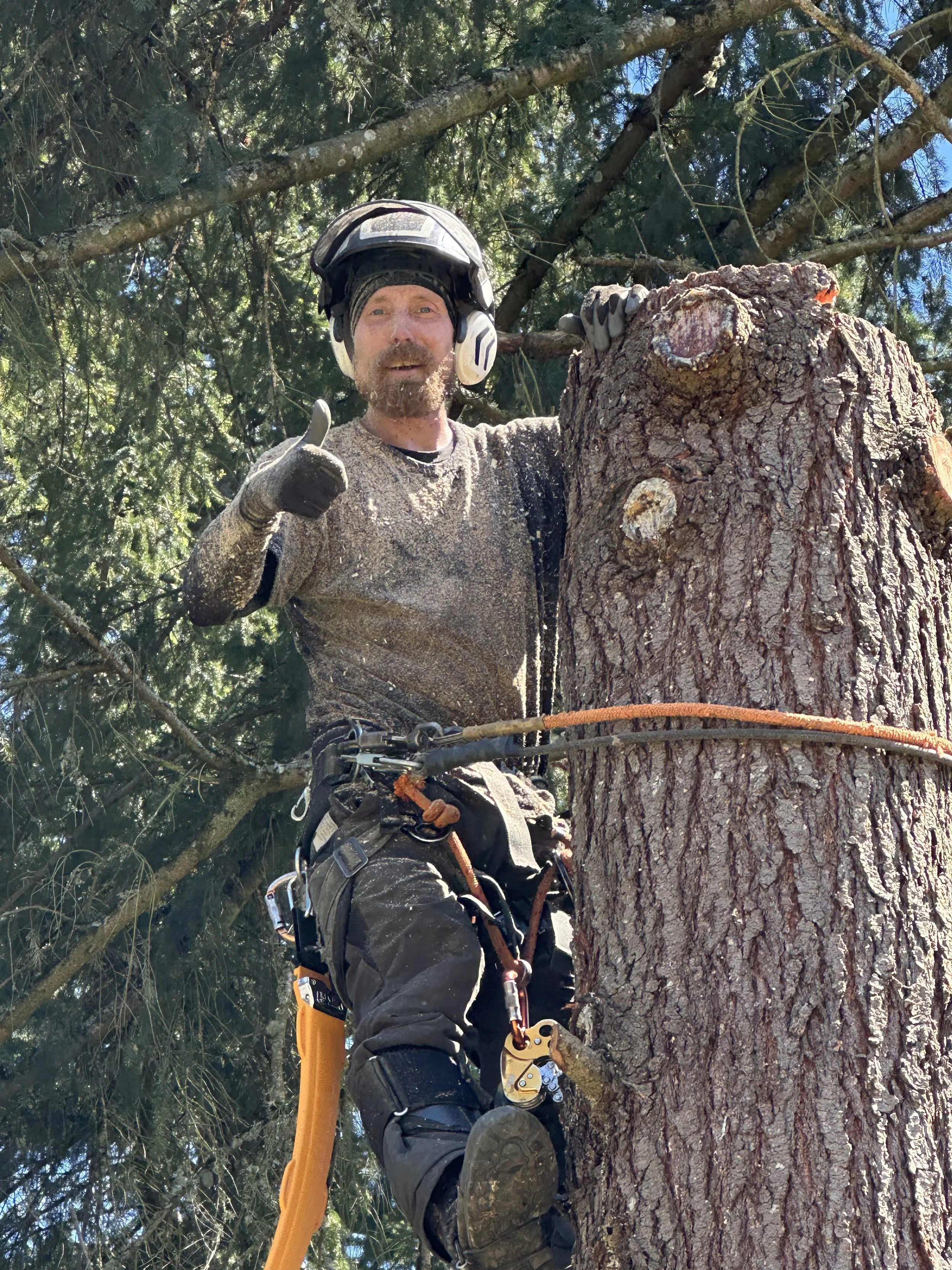 Kings Tree Care LLC - Russ