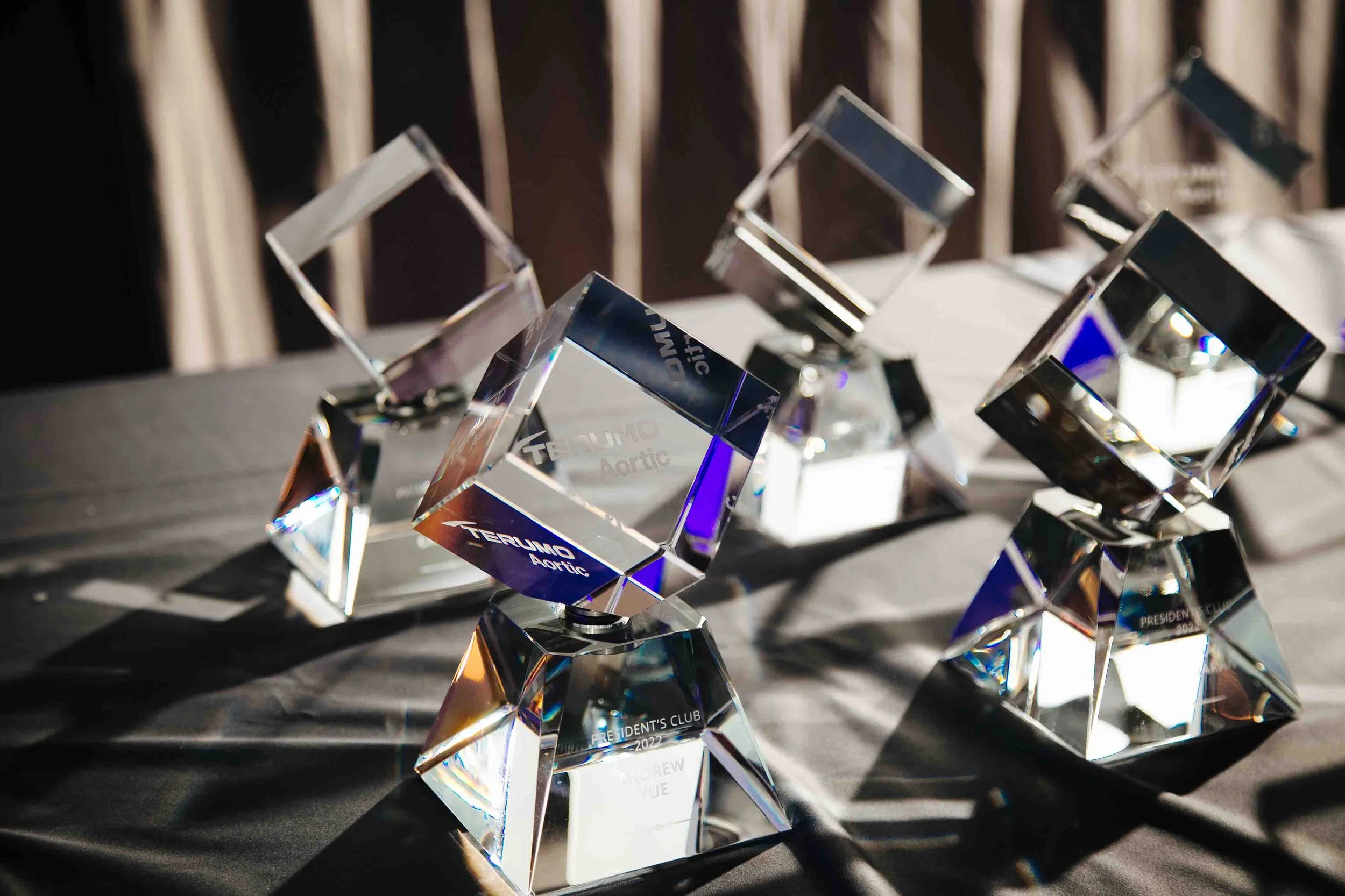 trophies for Terumo Aortic employees sitting on a table