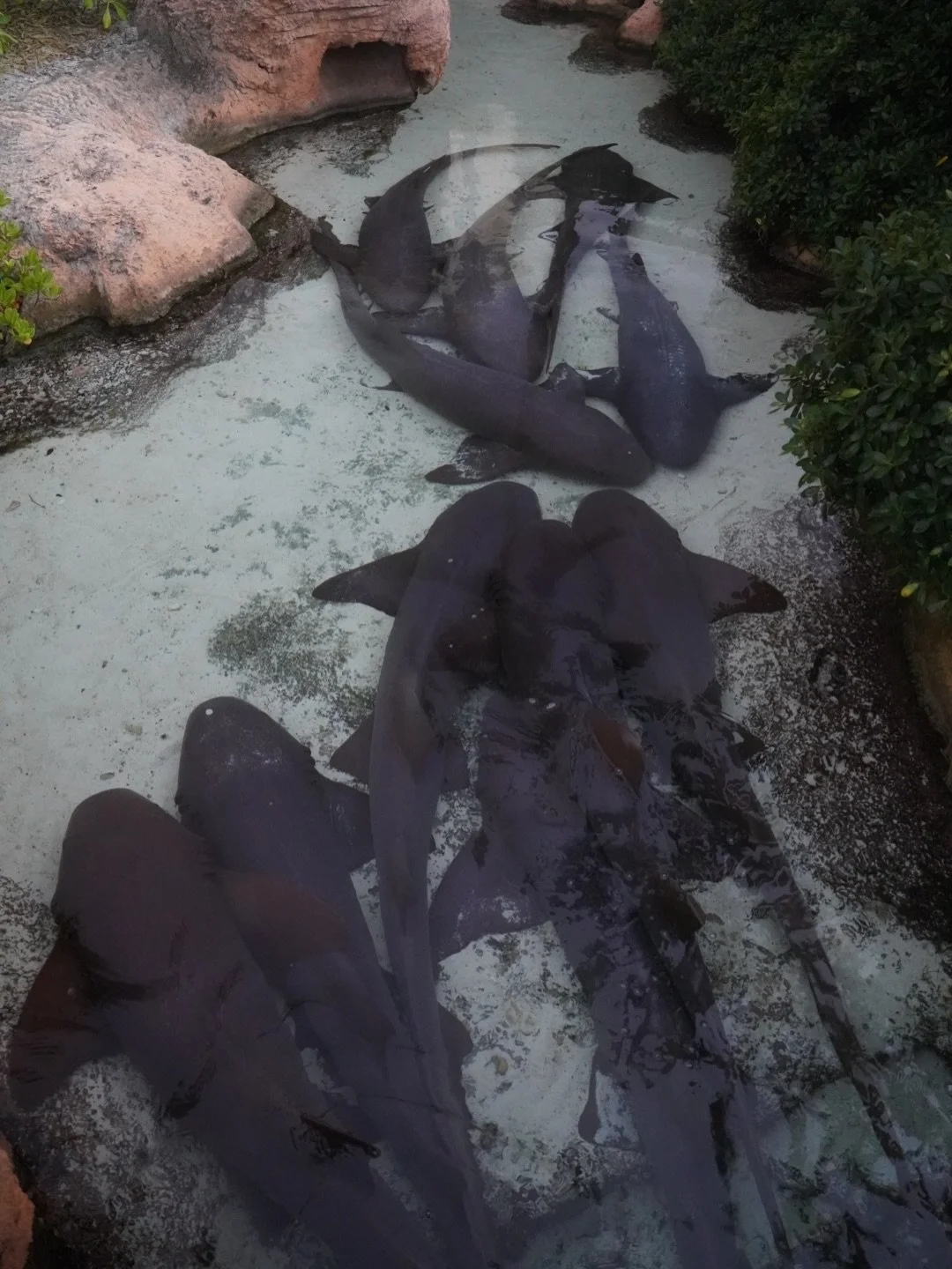 Happy Monday loves, as we enter a new week here is some food for thought: freedom is choosing your own path with quiet confidence. When you turn down the noise of comparison and listen to what truly drives you, your journey becomes intentional, align