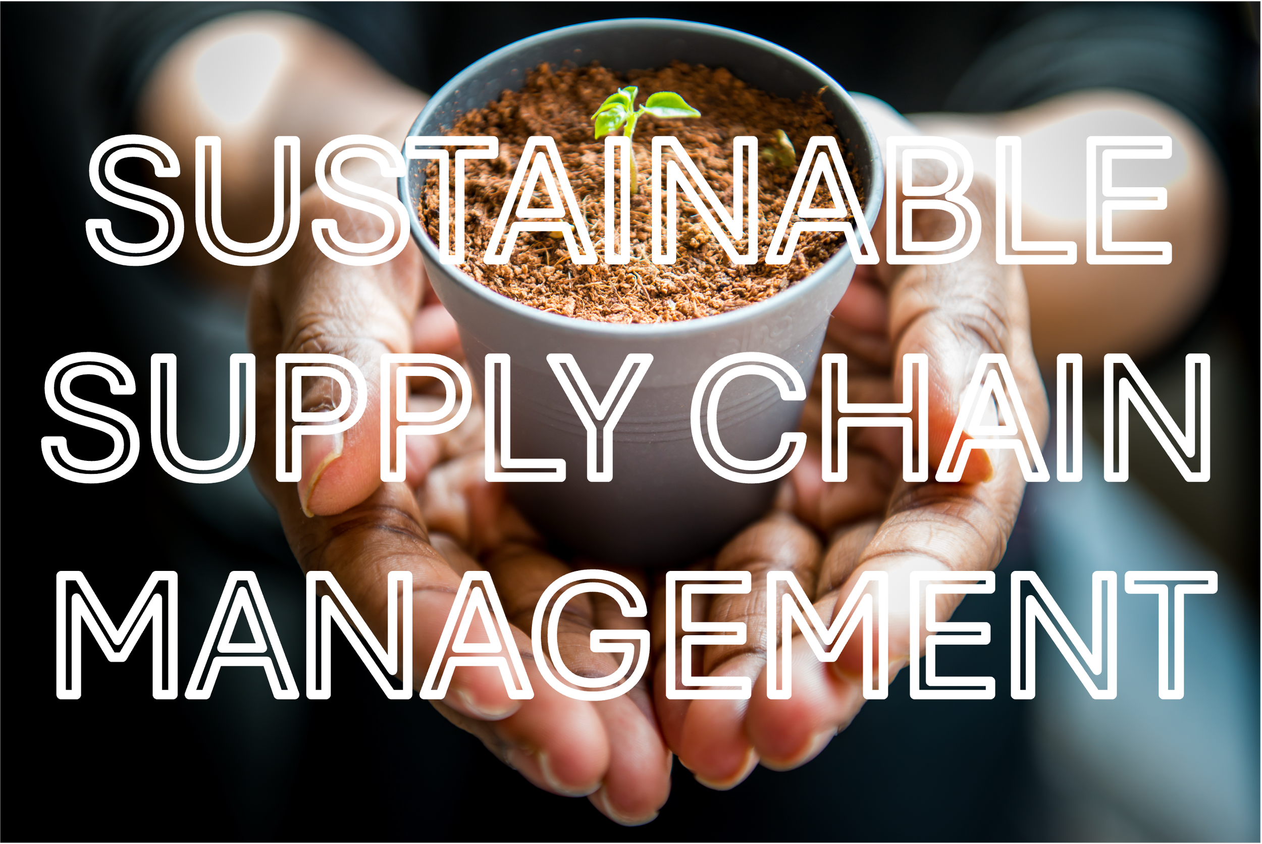 Sustainable Supply Chain Management