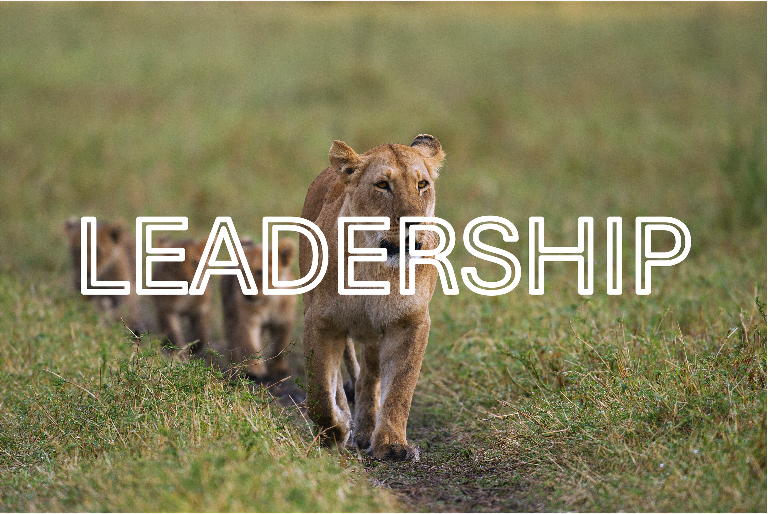 Leadership