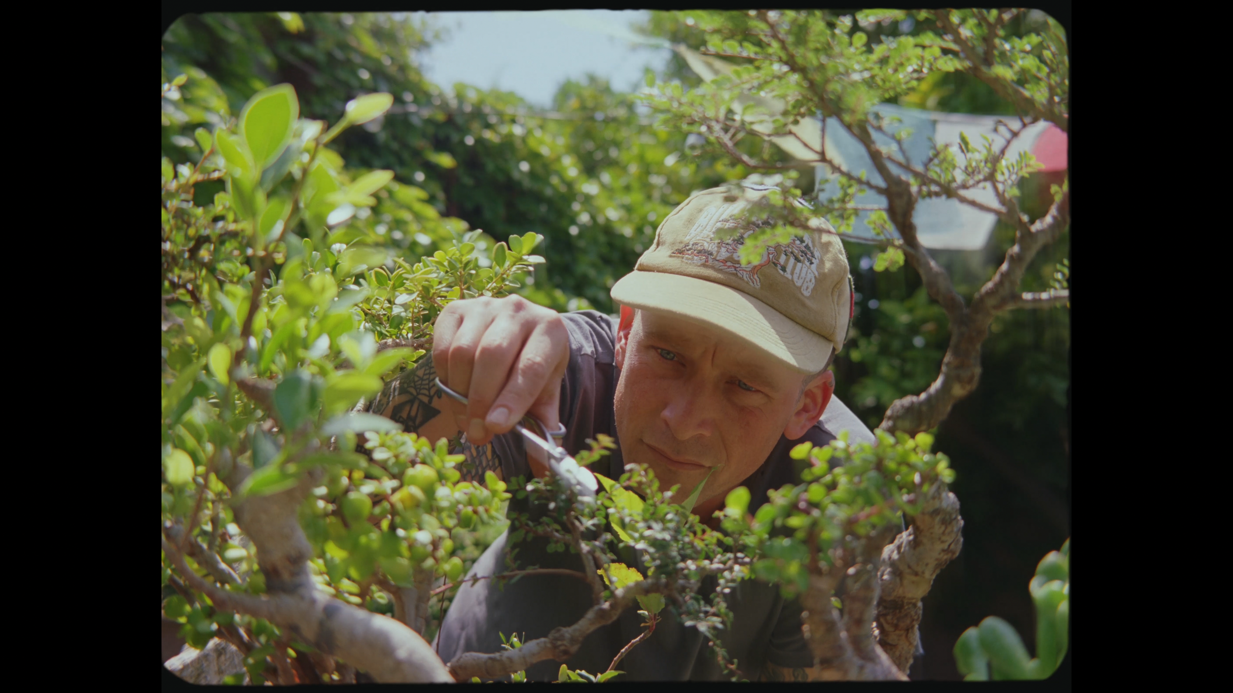 Screenshot 2025-10-15 at 8.47.59 AM.png