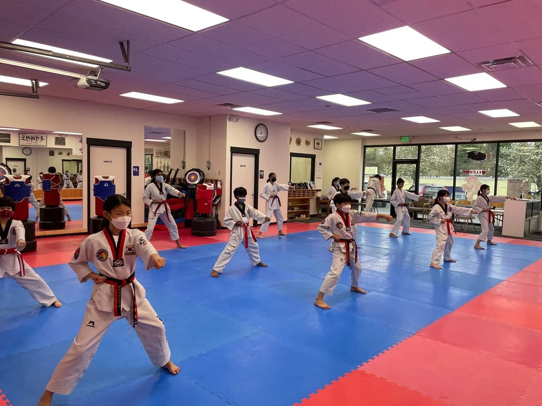 World Tae Kwon Do Academy