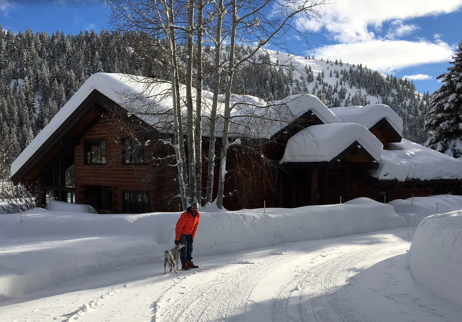 Annex Design Services