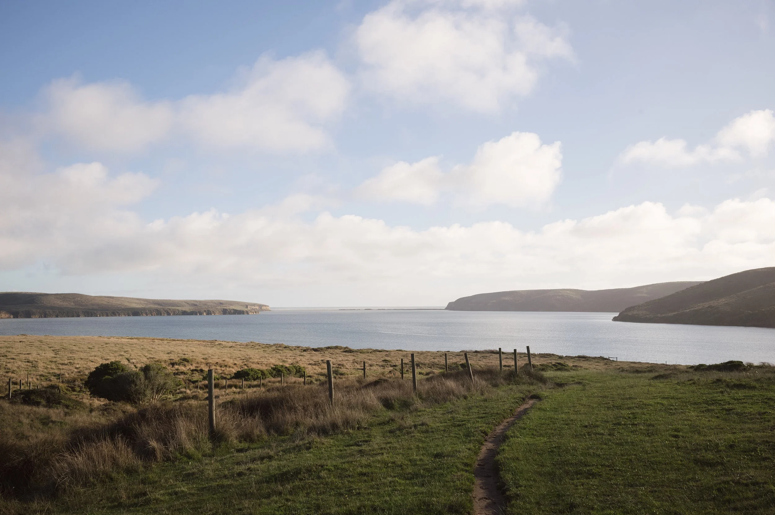 bull point trailhead | point reyes — crystal lynn collins