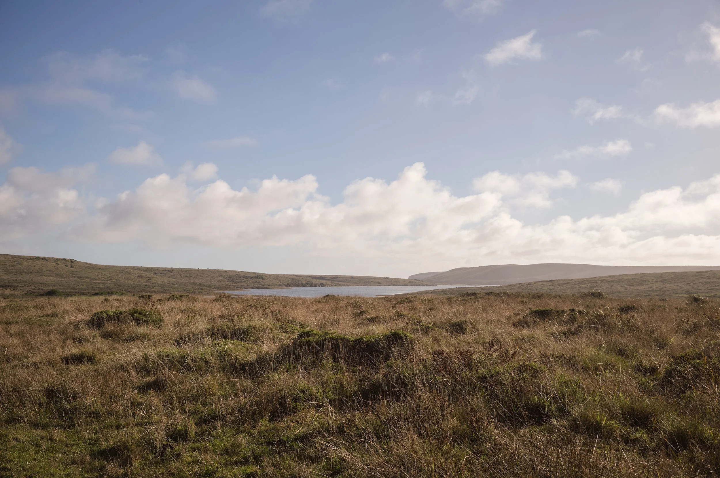 bull point trailhead | point reyes — crystal lynn collins