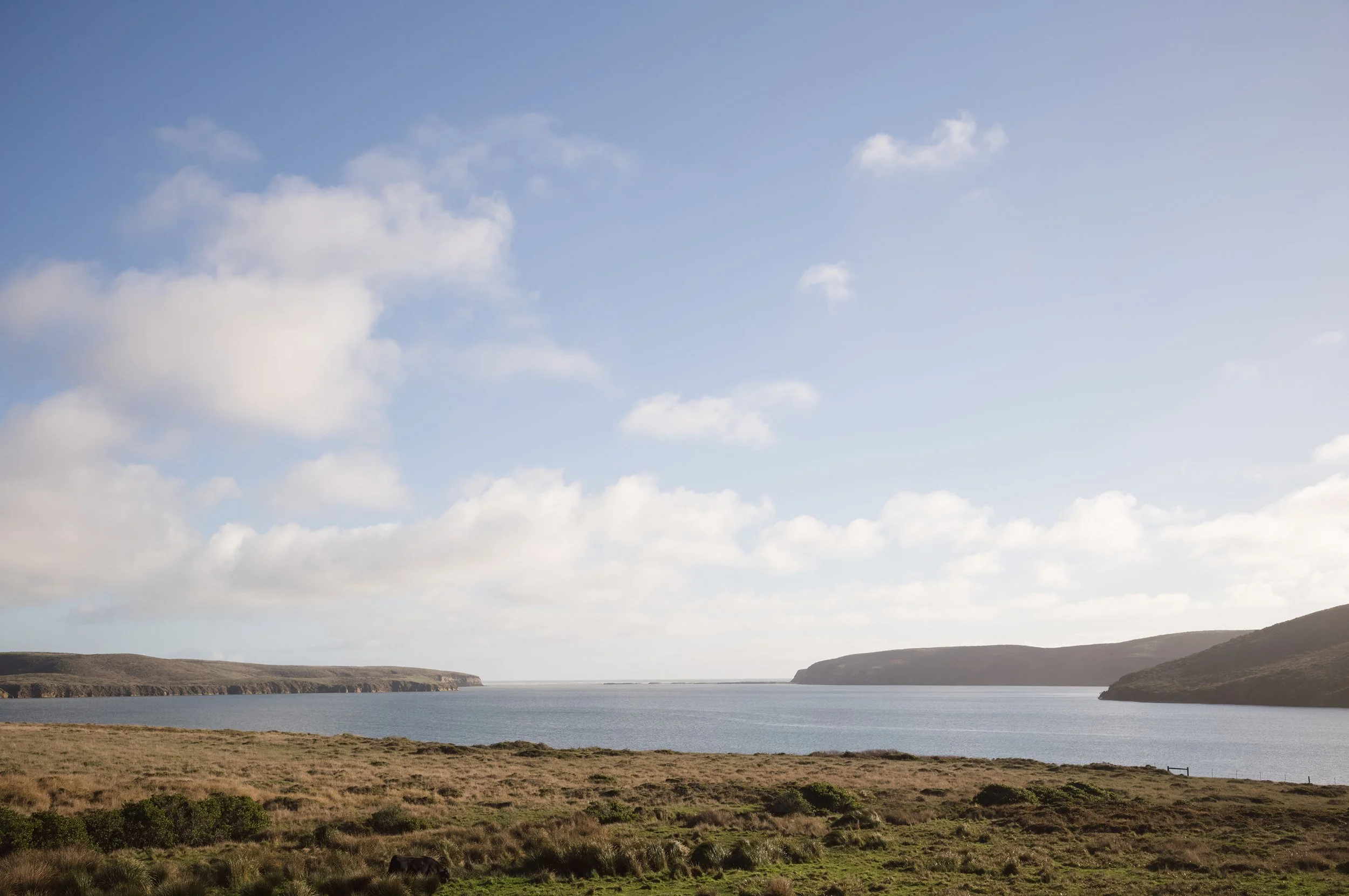 bull point trailhead | point reyes — crystal lynn collins