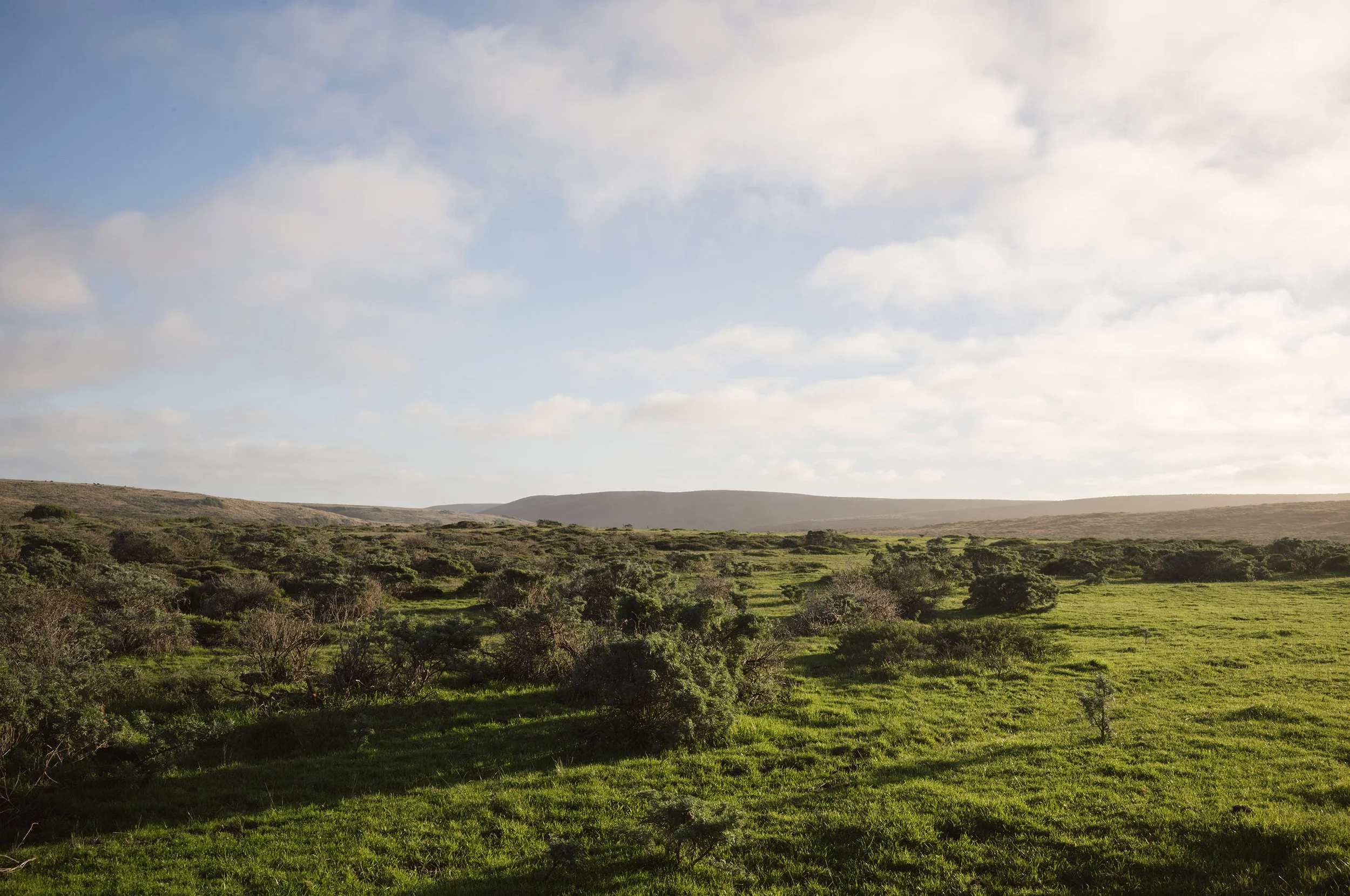 bull point trailhead | point reyes — crystal lynn collins
