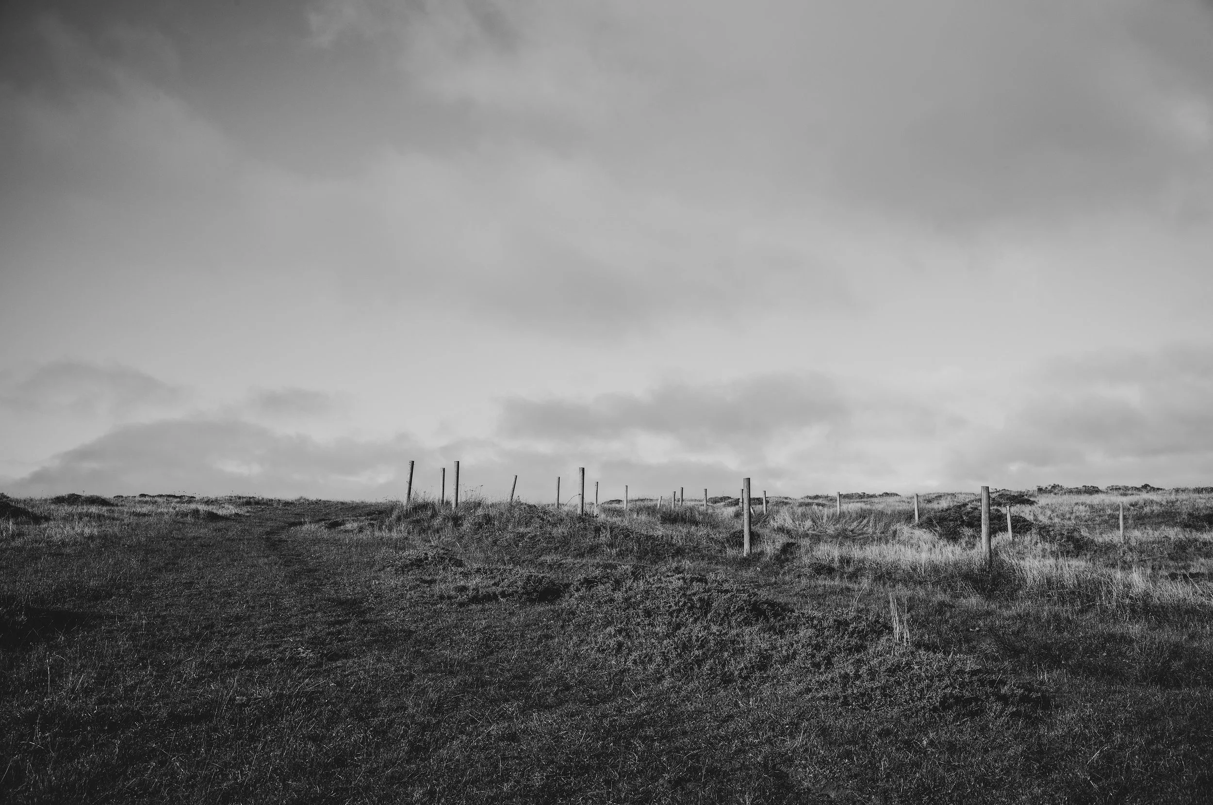 bull point trailhead | point reyes — crystal lynn collins