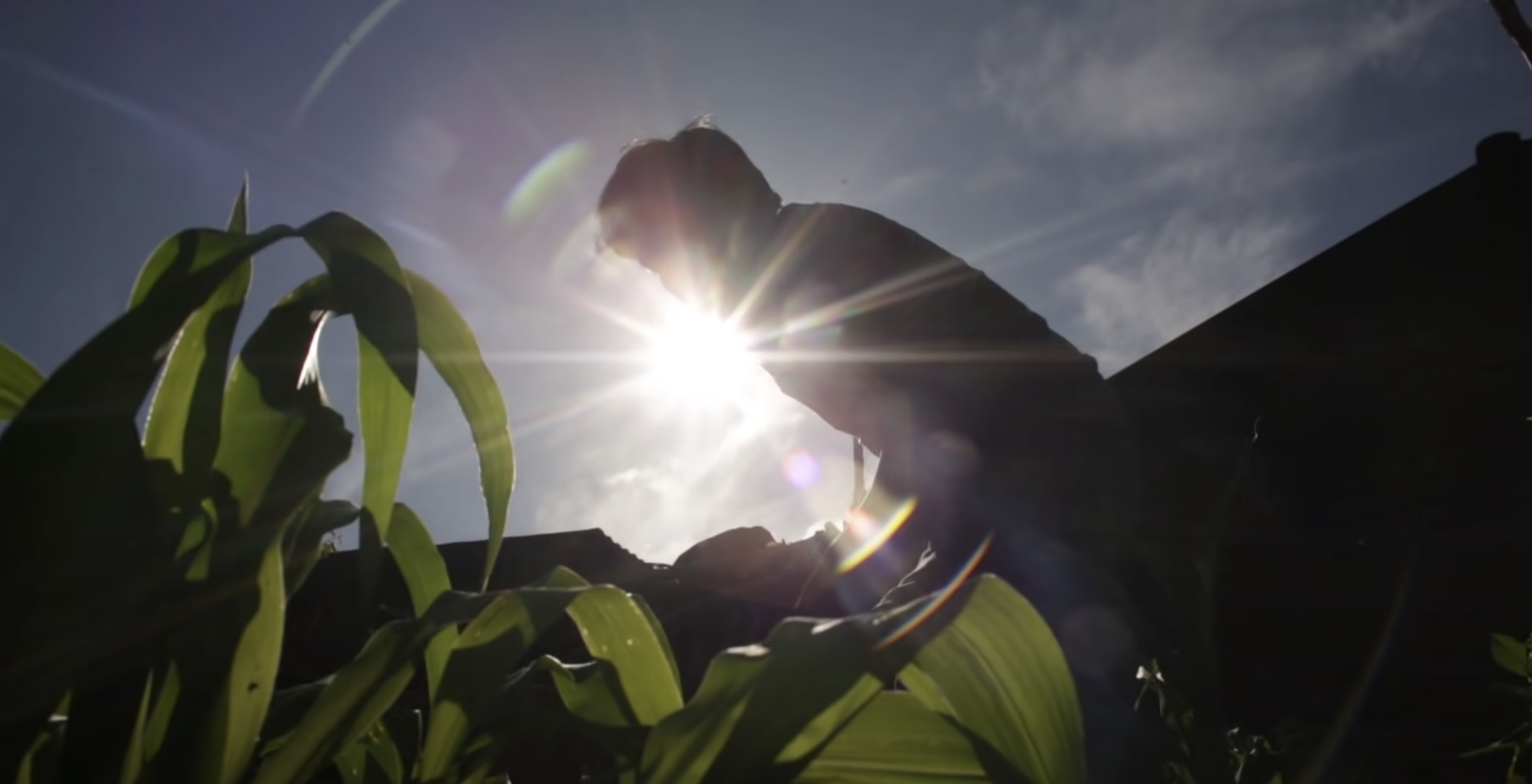 Care for God's Creation