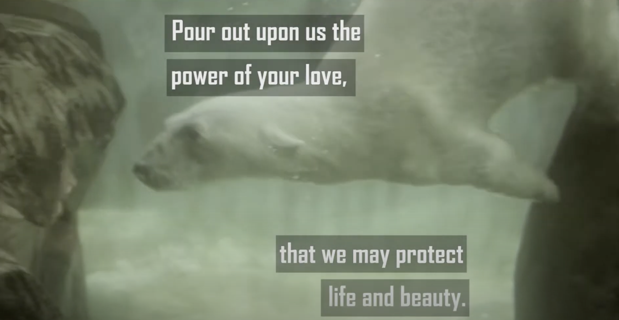 A Prayer for Our Earth