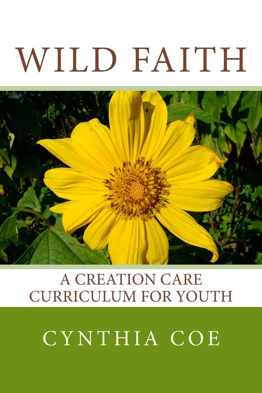 Creation Care Youth