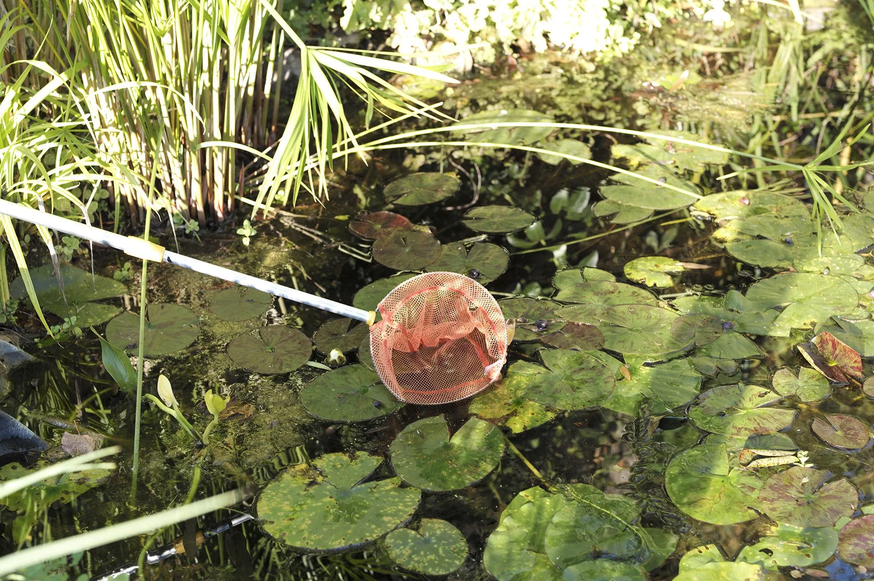 6% des séparations conflictuelles sont graves