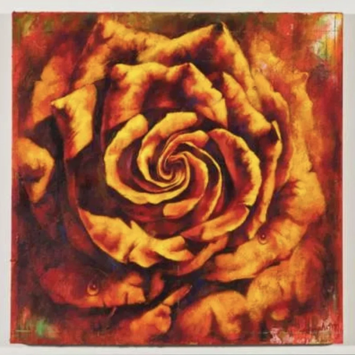 Jim Morphesis, Rose II.jpeg