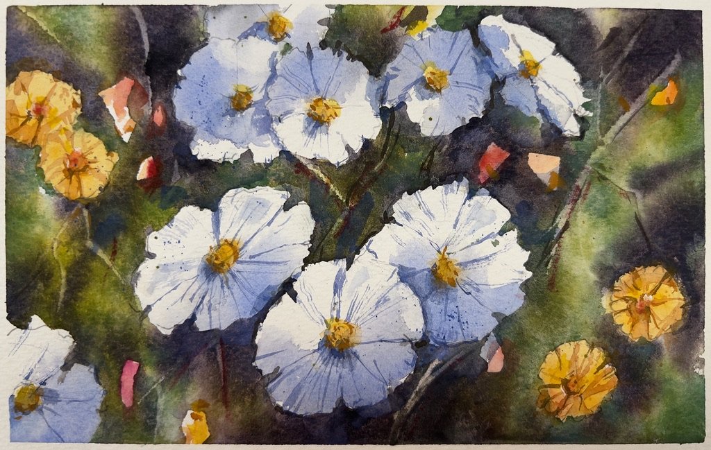 Watercolor Fundamentals & Beyond (In-Person)