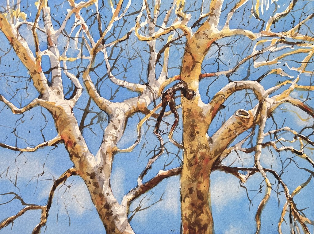Intermediate/Advanced Watercolor (In-Person)