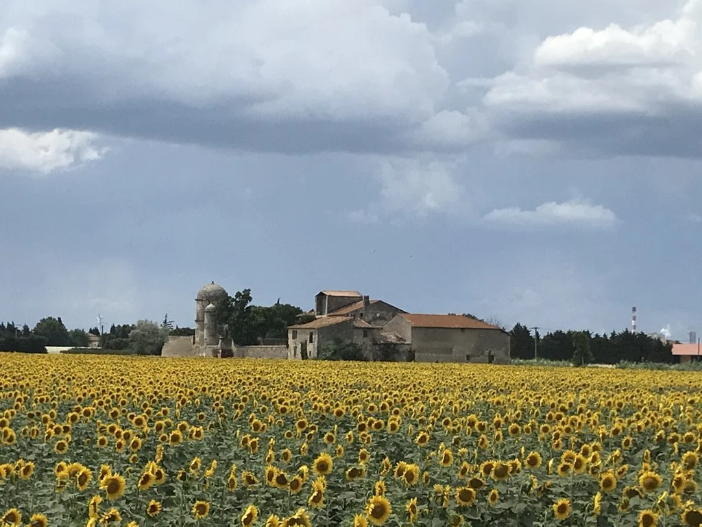 Live from Provence (Online)