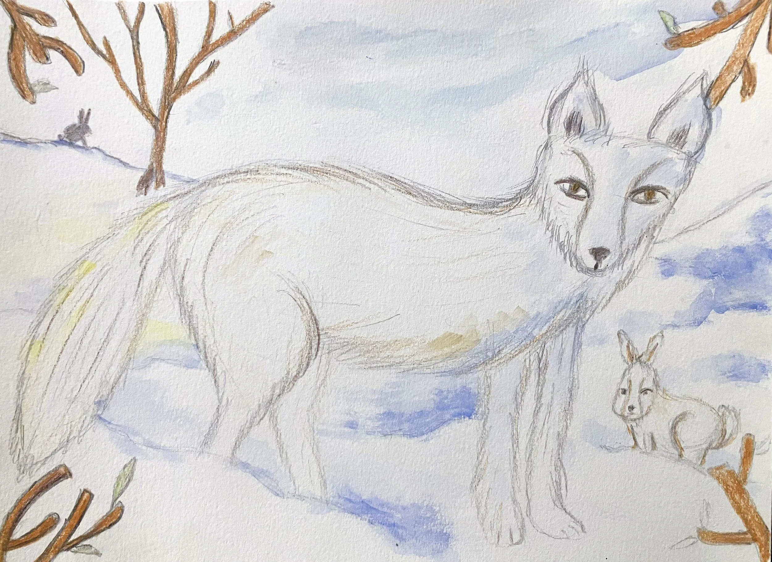 Winter Art Camps: Ages 9-12