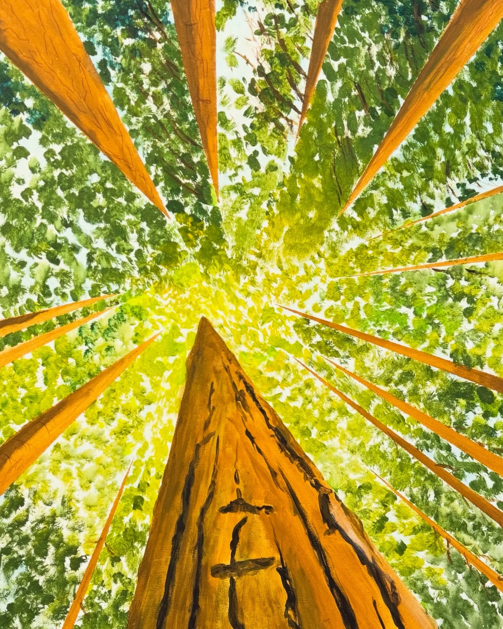 Things are looking up ⬆️
Classes start this week and there&rsquo;s still time to save your spot!
Check out the complete fall lineup at the link in bio 

🖼️ by Rick Batzdorf