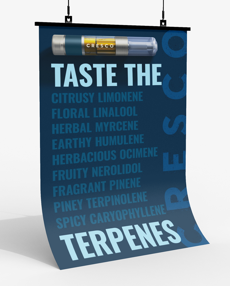 Artboard 15.png