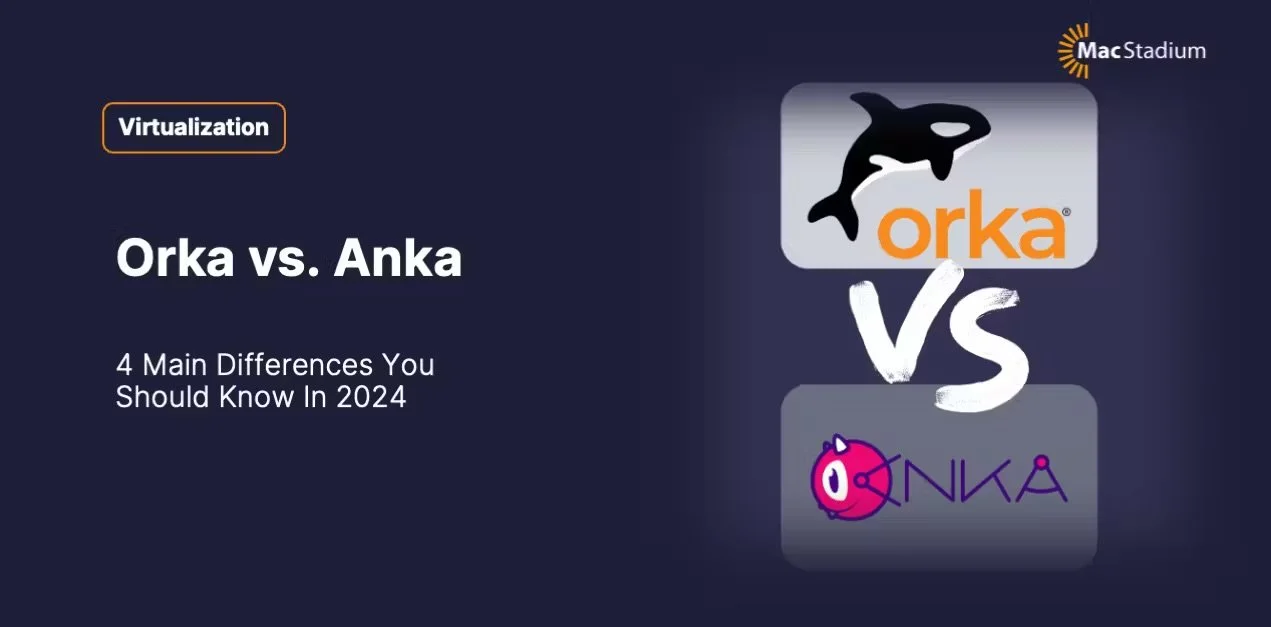 Orka vs. Anka: 4 Main Differences You Should Know