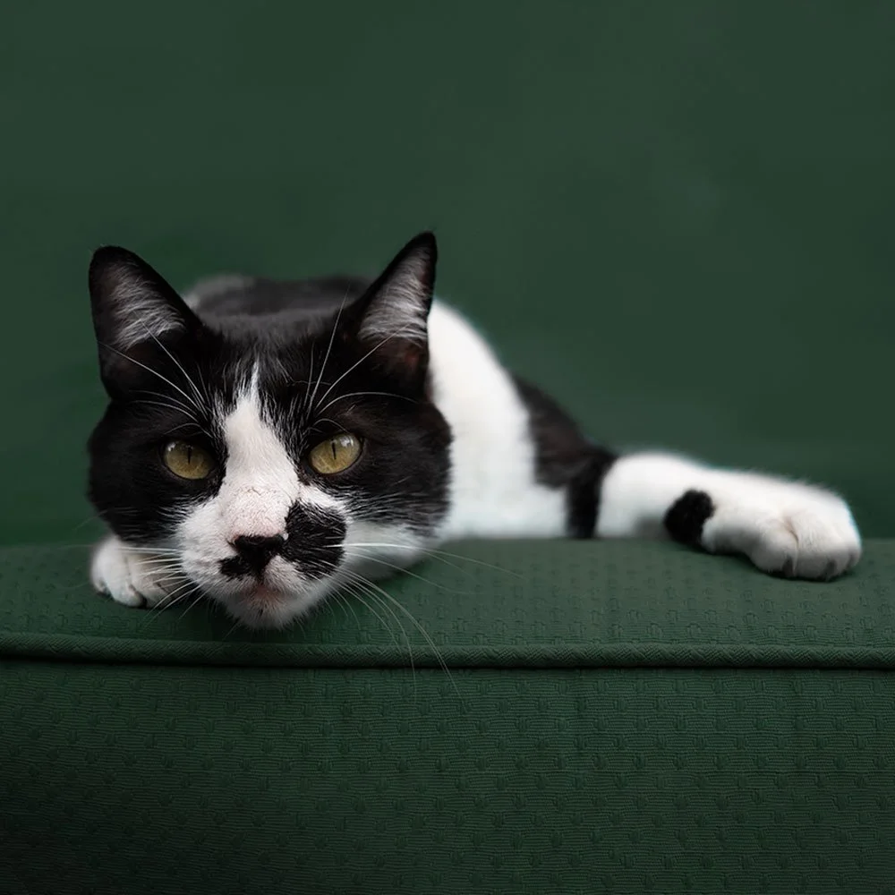 Finding Katherine – Australian independent feature film project