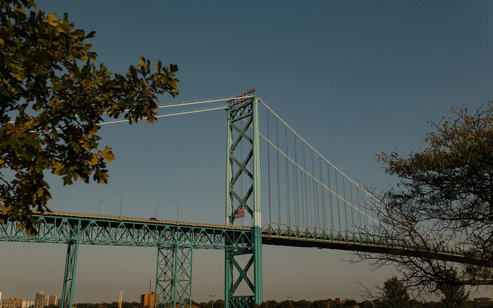 ambassador-bridge-detroit-engagement-photos-alaina-miller-photography (1).jpg