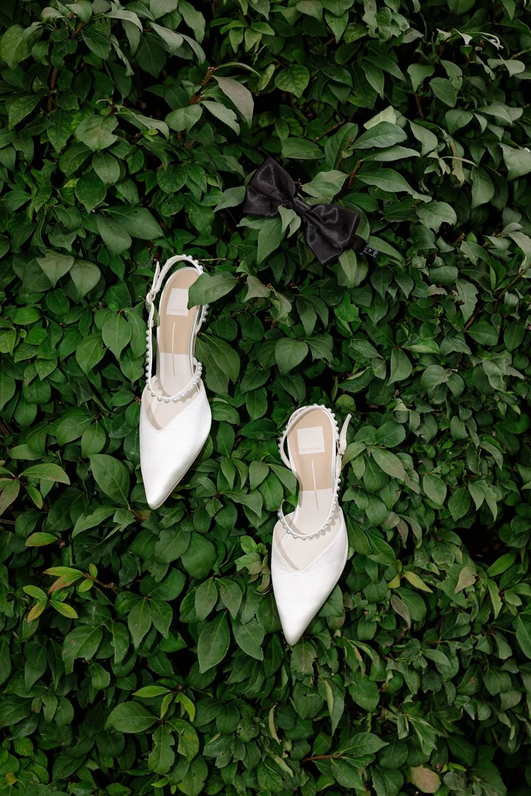 A bride's wedding shoes and a groom's bow tie detail photo hanging in a green bush