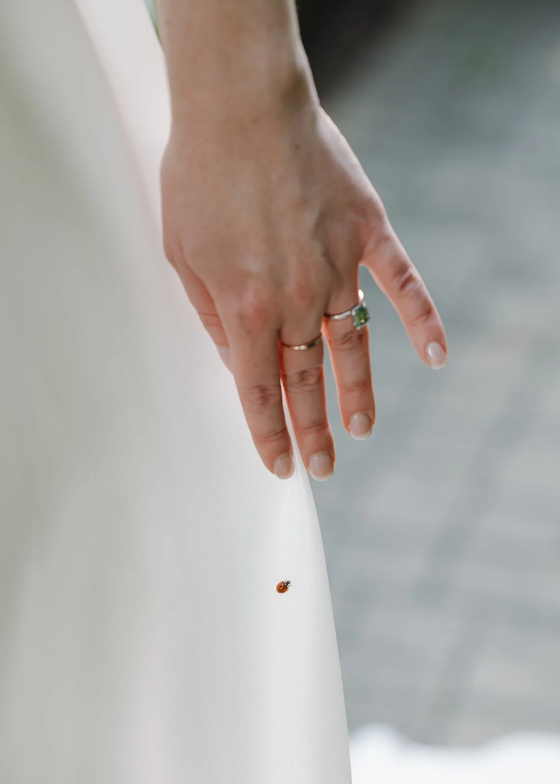 Ladybug on the brides wedding dress during portraits.