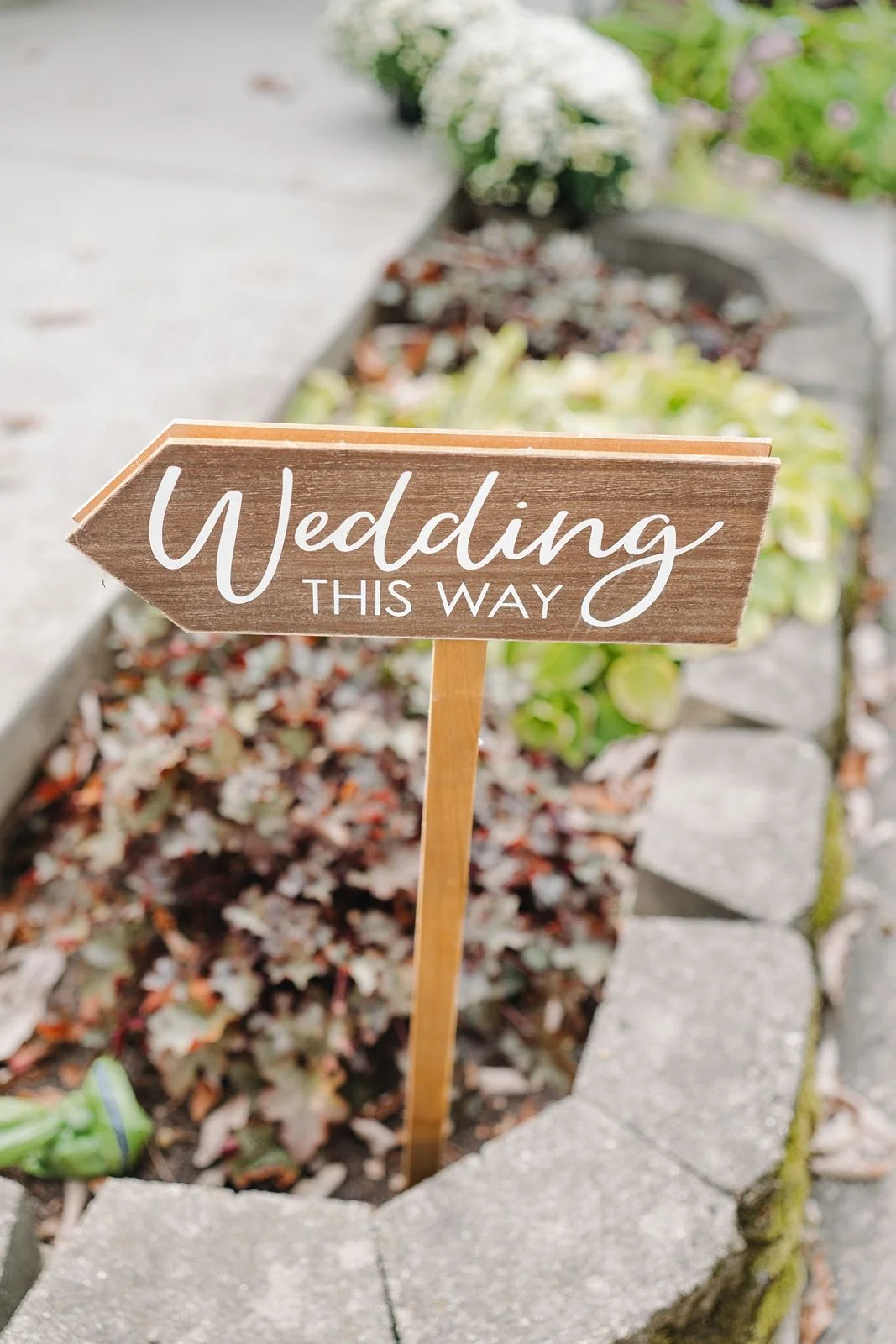 intimate-backyard-wedding36.jpg
