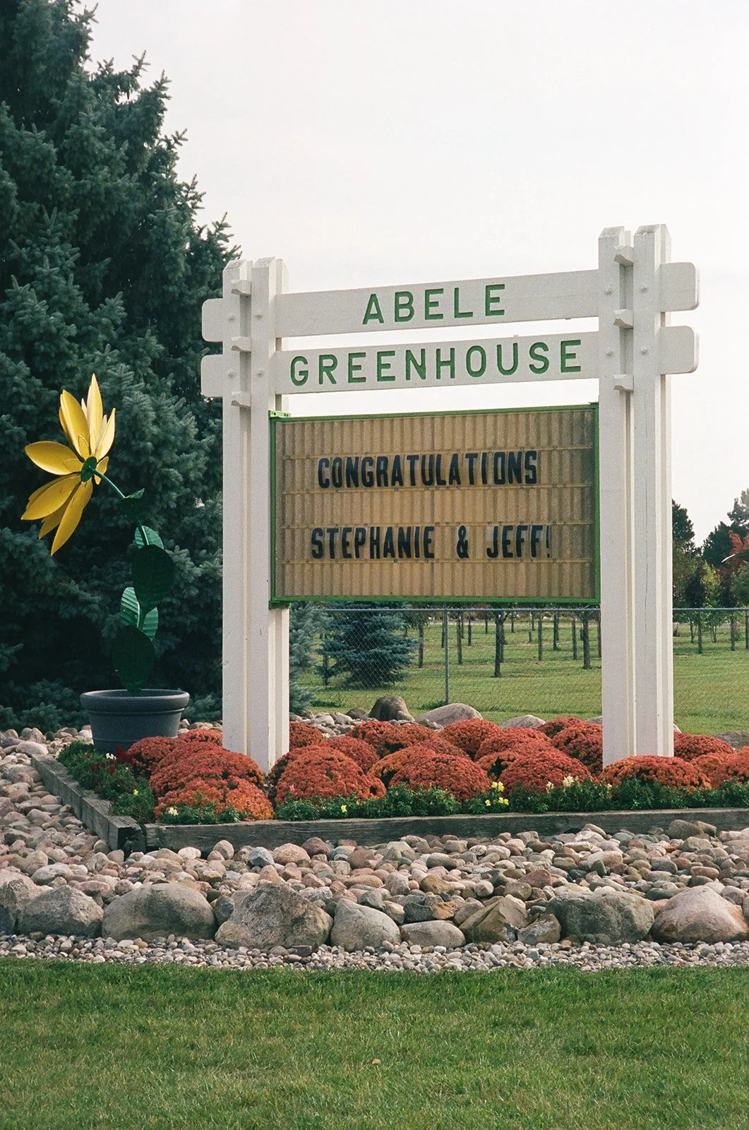 Film photo of the sign at Abele Greenhouse congratulating Stephanie and Jeff, the bride and groom.