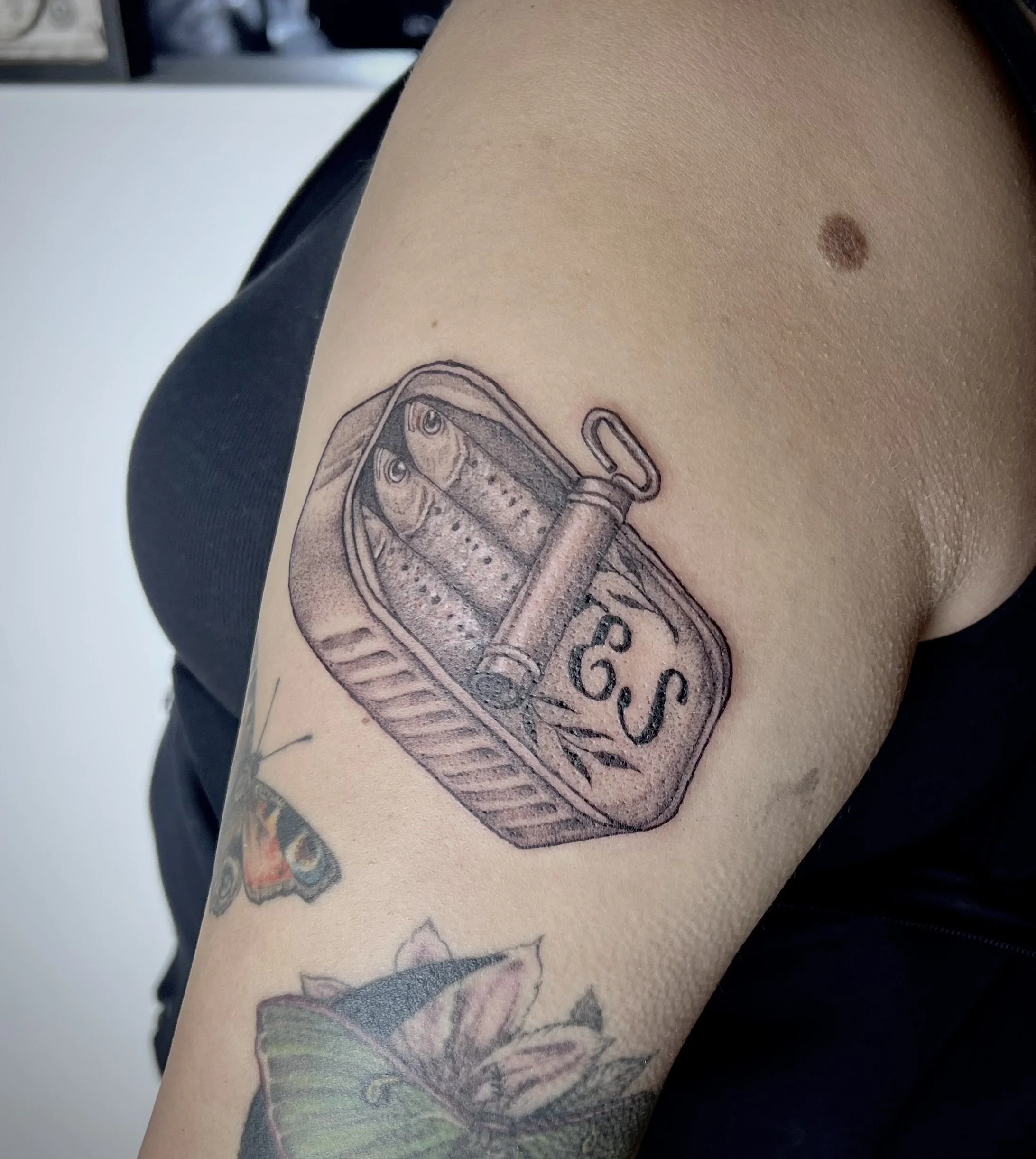 Tinned fish (anchovies) 4.5in (2026)