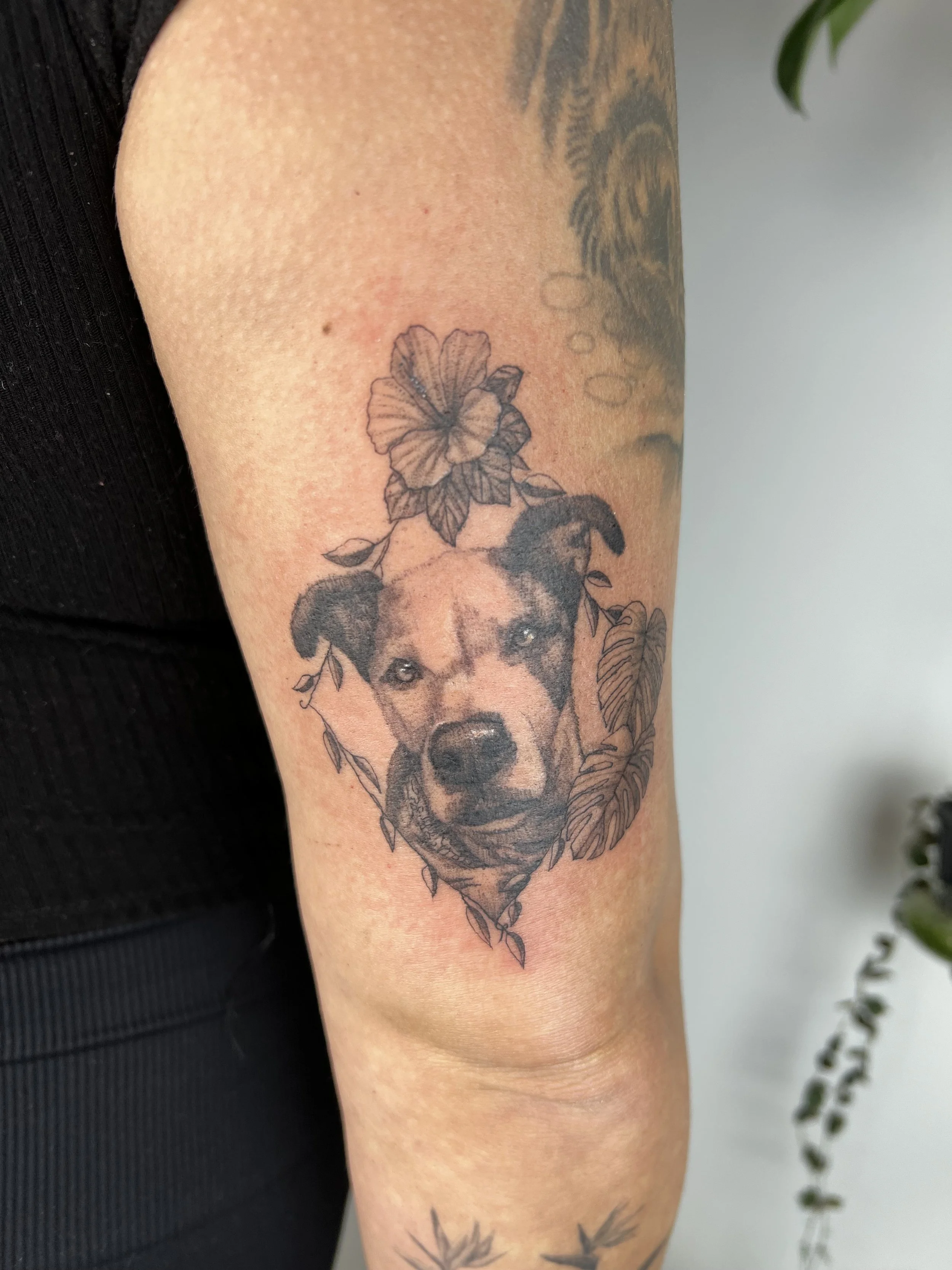 Pet portrait dog 4in (2025)