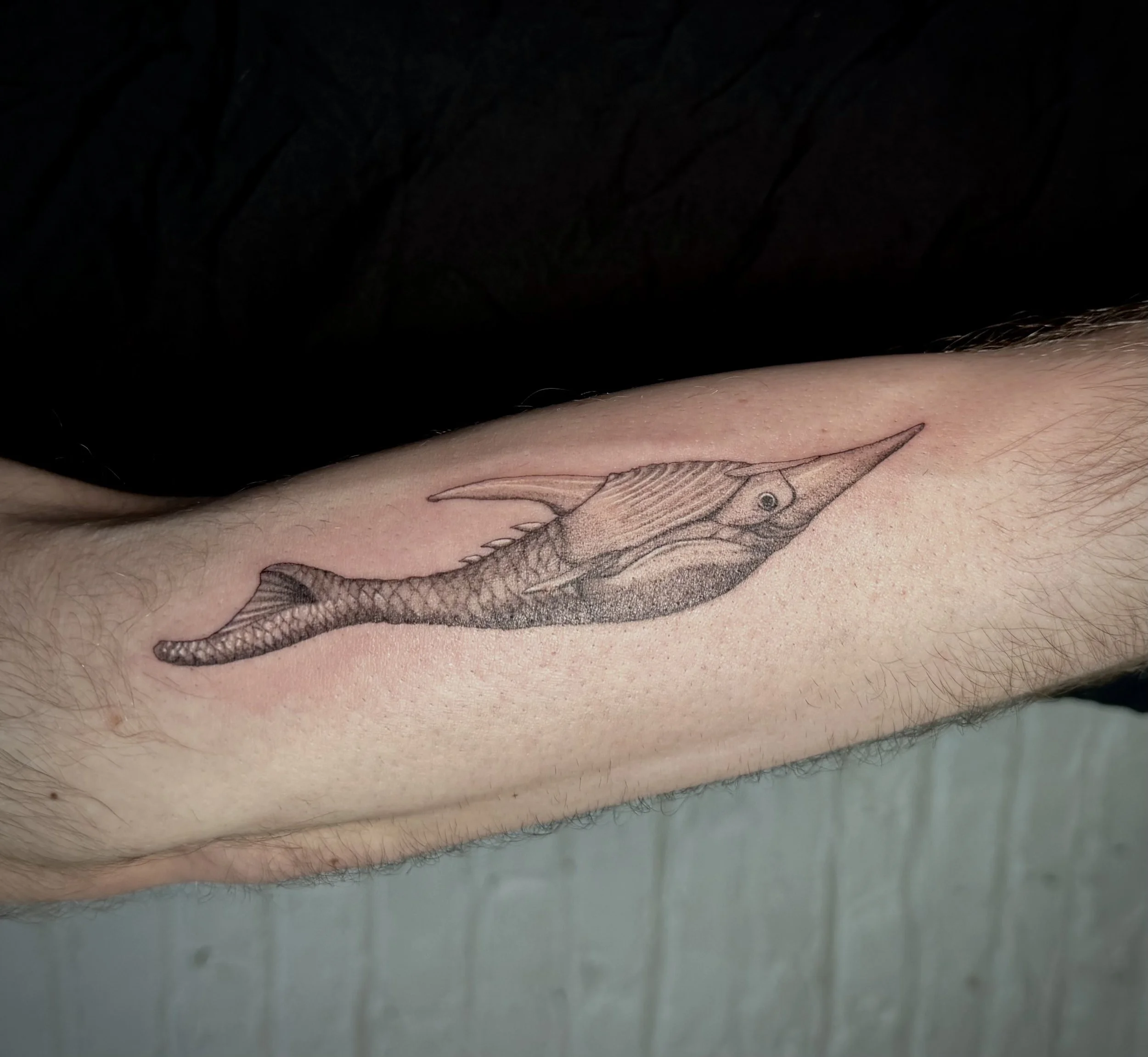 Prehistoric fish (5in)